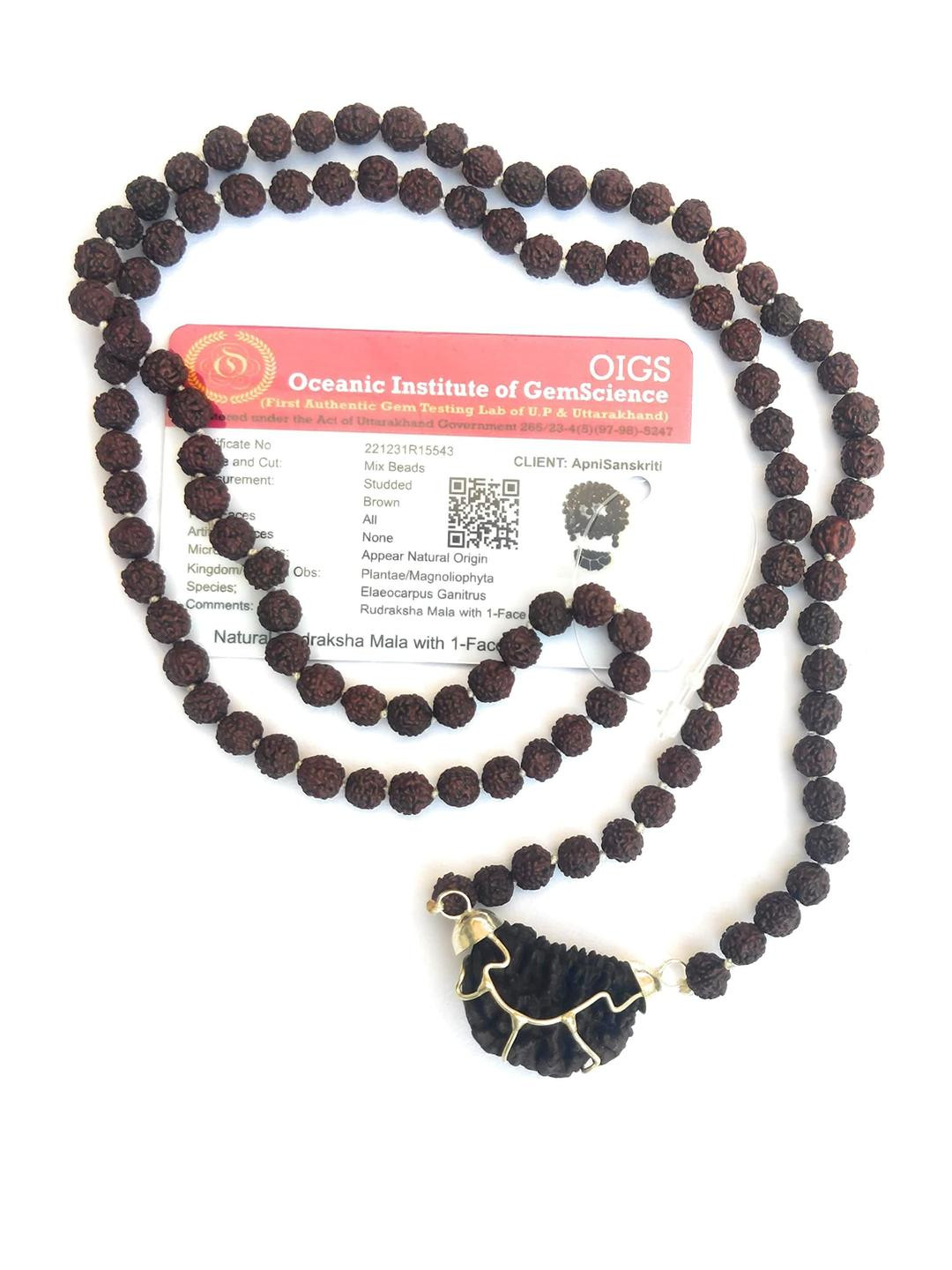 Apnisanskriti Unisex 1 Face Rudraksha Pendant 5 Face Rudraksha Mala