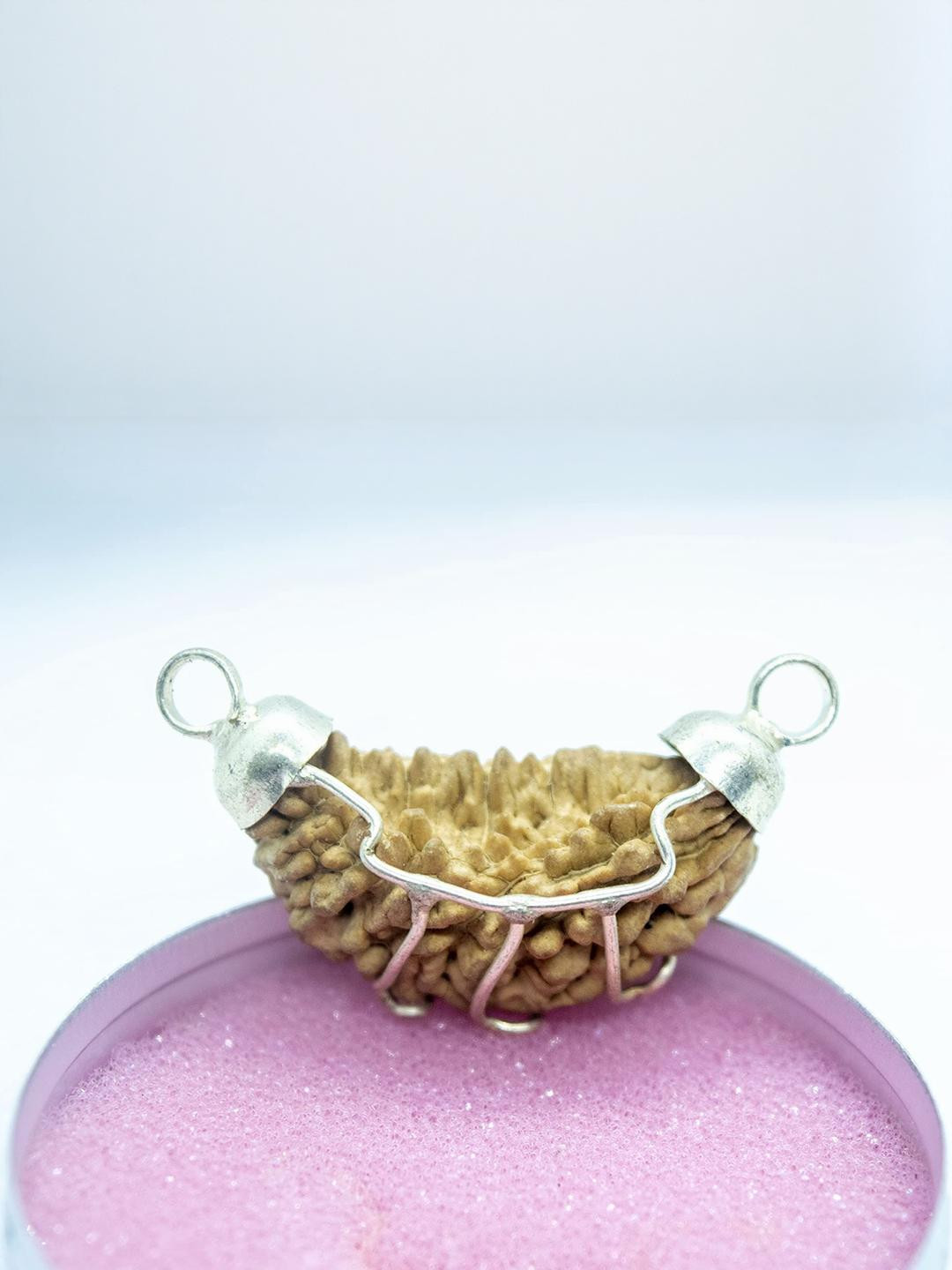 Apnisanskriti Unisex 1 Face Rudraksha Silver Plated Pendant