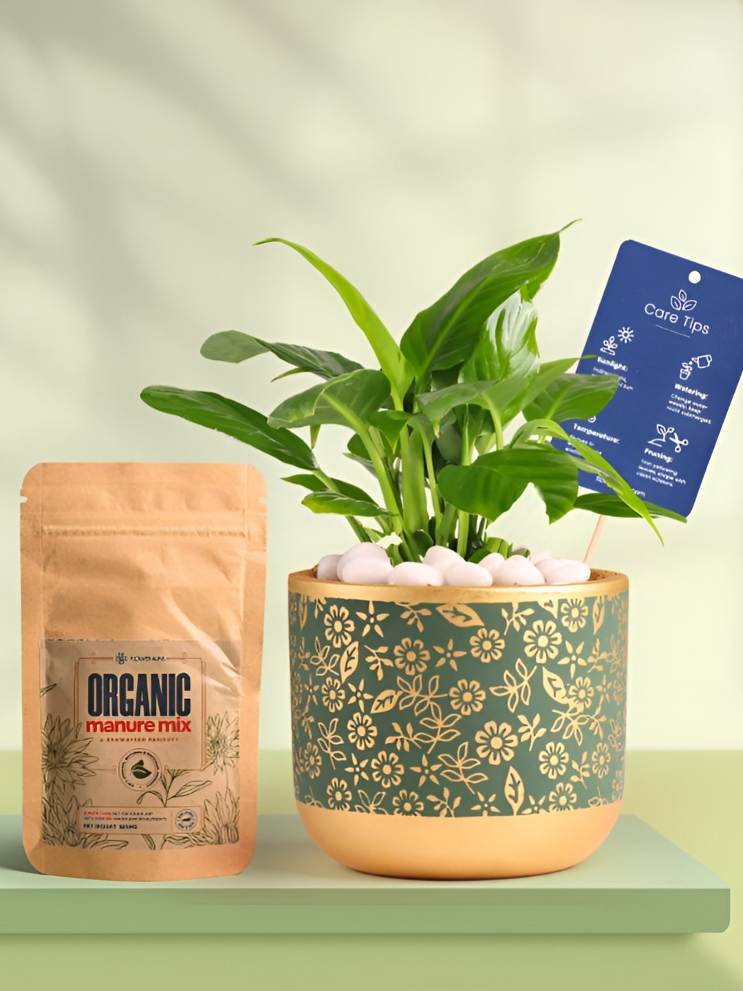 Floweraura Air Purifying Peace Lily Indoor Live Plant With Printed Pot & Manure -15 cm