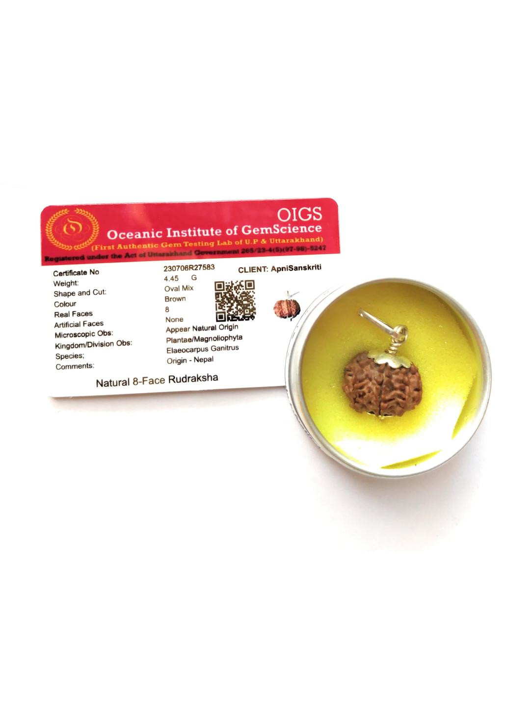 Apnisanskriti Unisex 8-Face Nepali Rudraksha Pure Silver Pendant