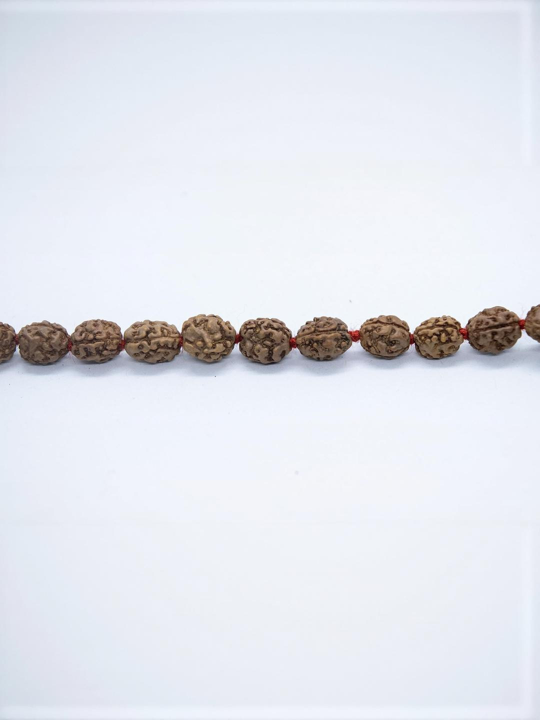 Apnisanskriti Unisex 3 Face Rudraksha 108+1 Mala