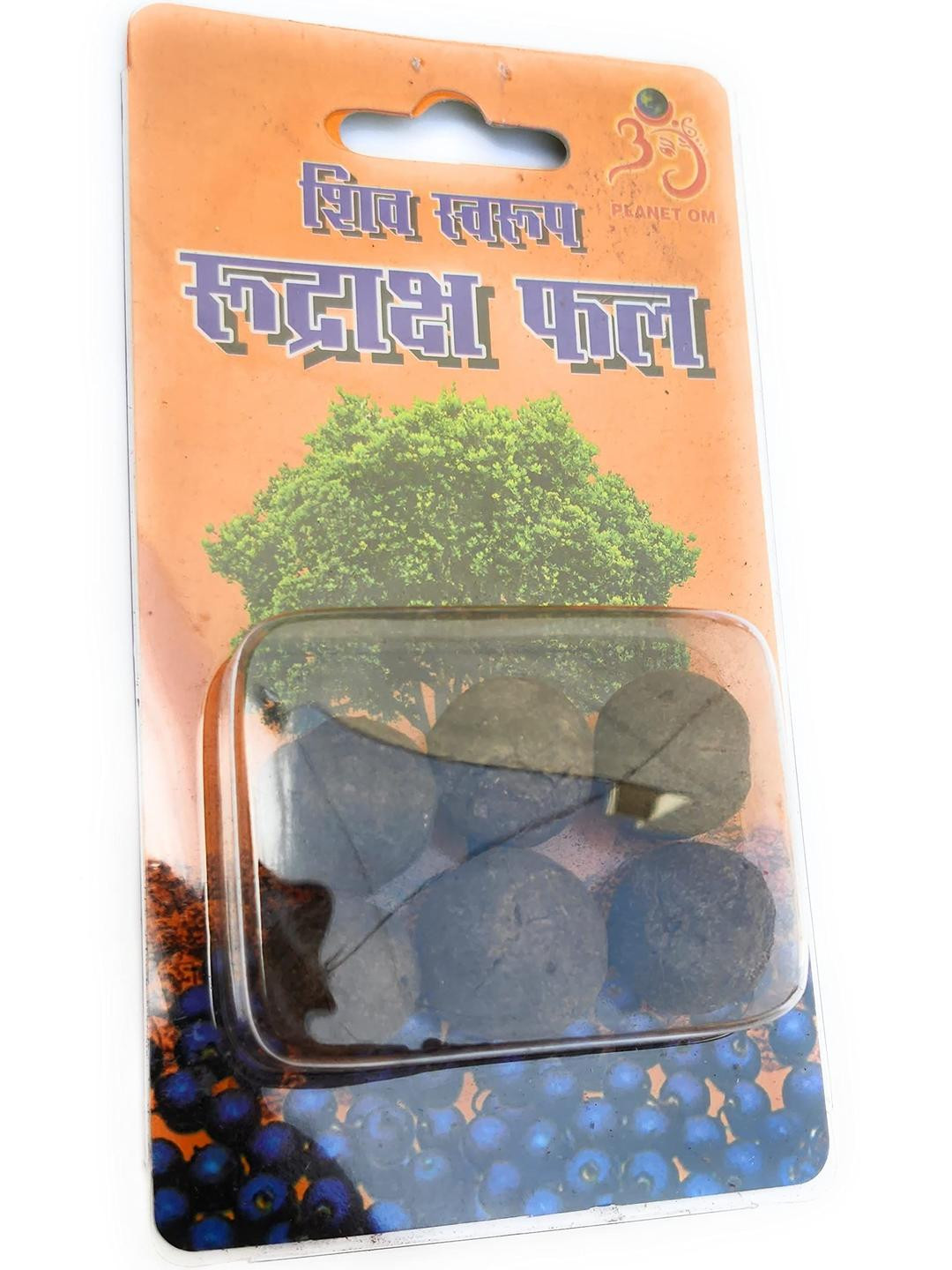 Apnisanskriti Unisex Nepal Raw Rudraksha Fruit