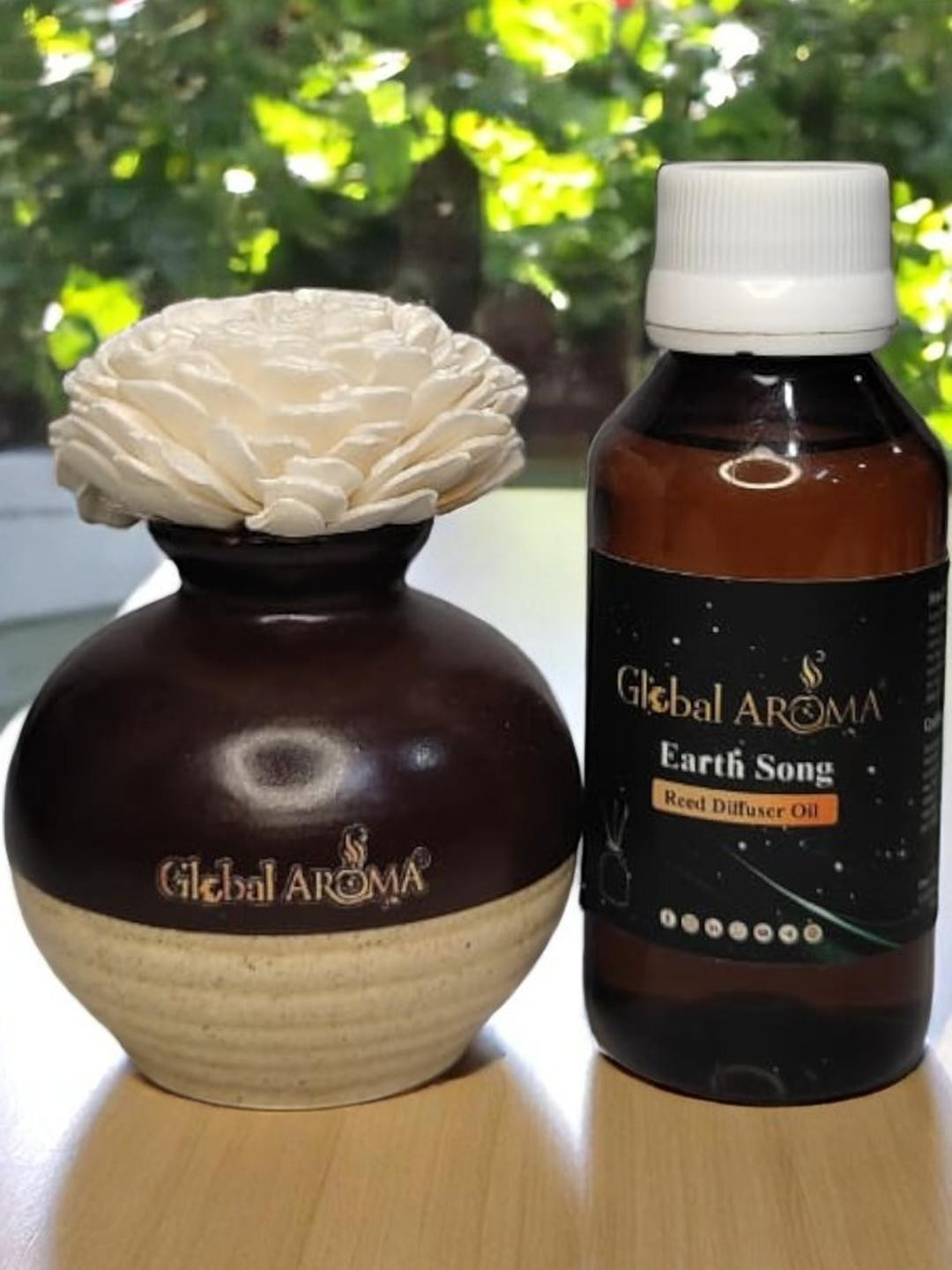GLOBAL AROMA Earth Song Fragracne Ethenic Flower Pot Reed Diffuser Set