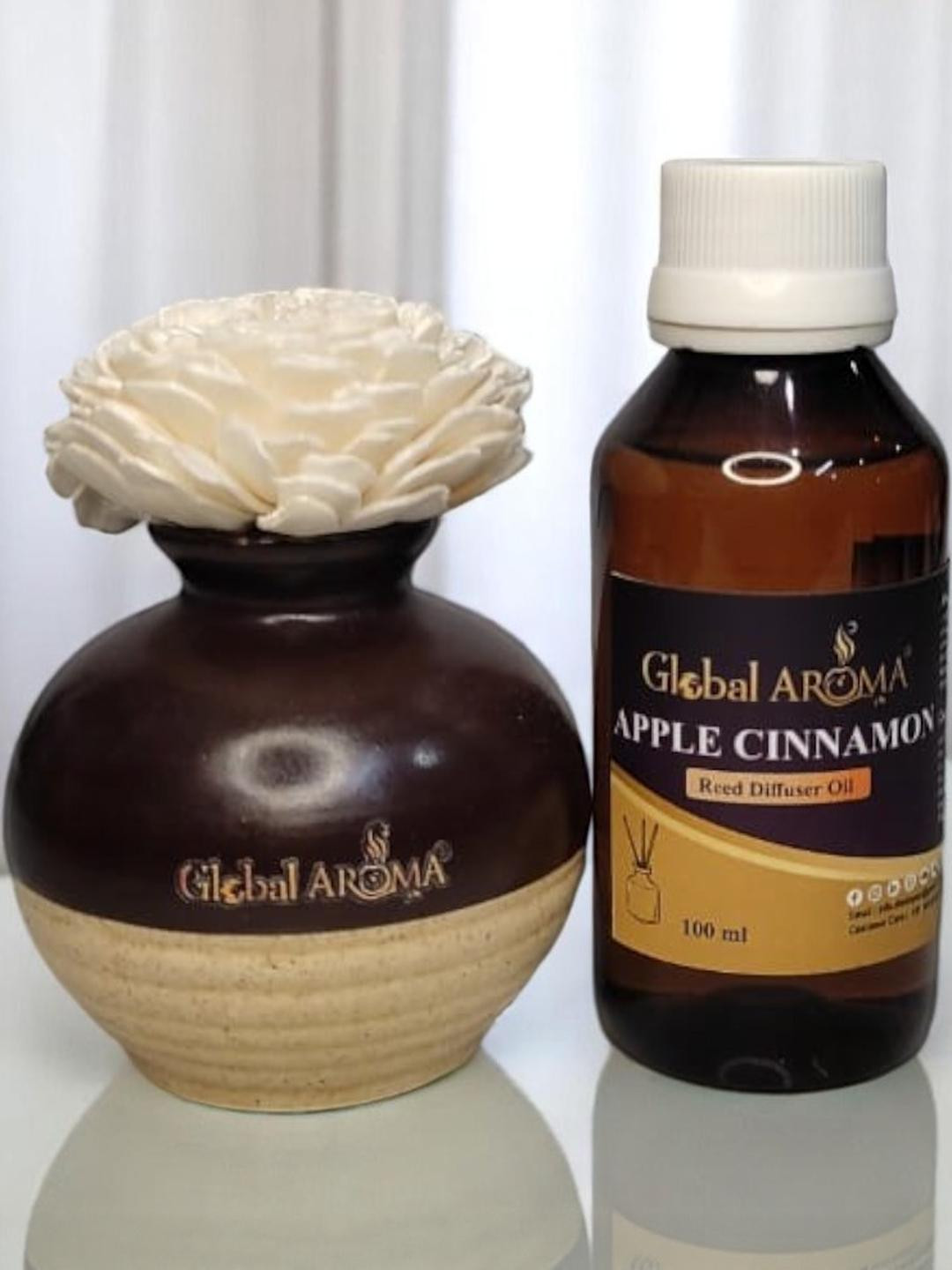 GLOBAL AROMA Apple Cinnamon Ethenic Flower Pot Reed Diffuser Set