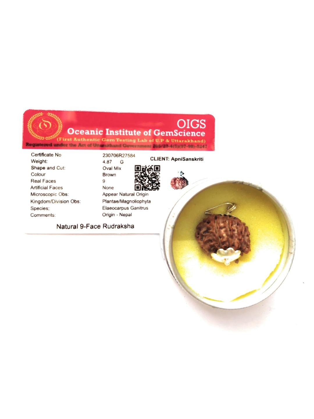 Apnisanskriti Unisex 9-Face Nepali Rudraksha Pure Silver Pendant