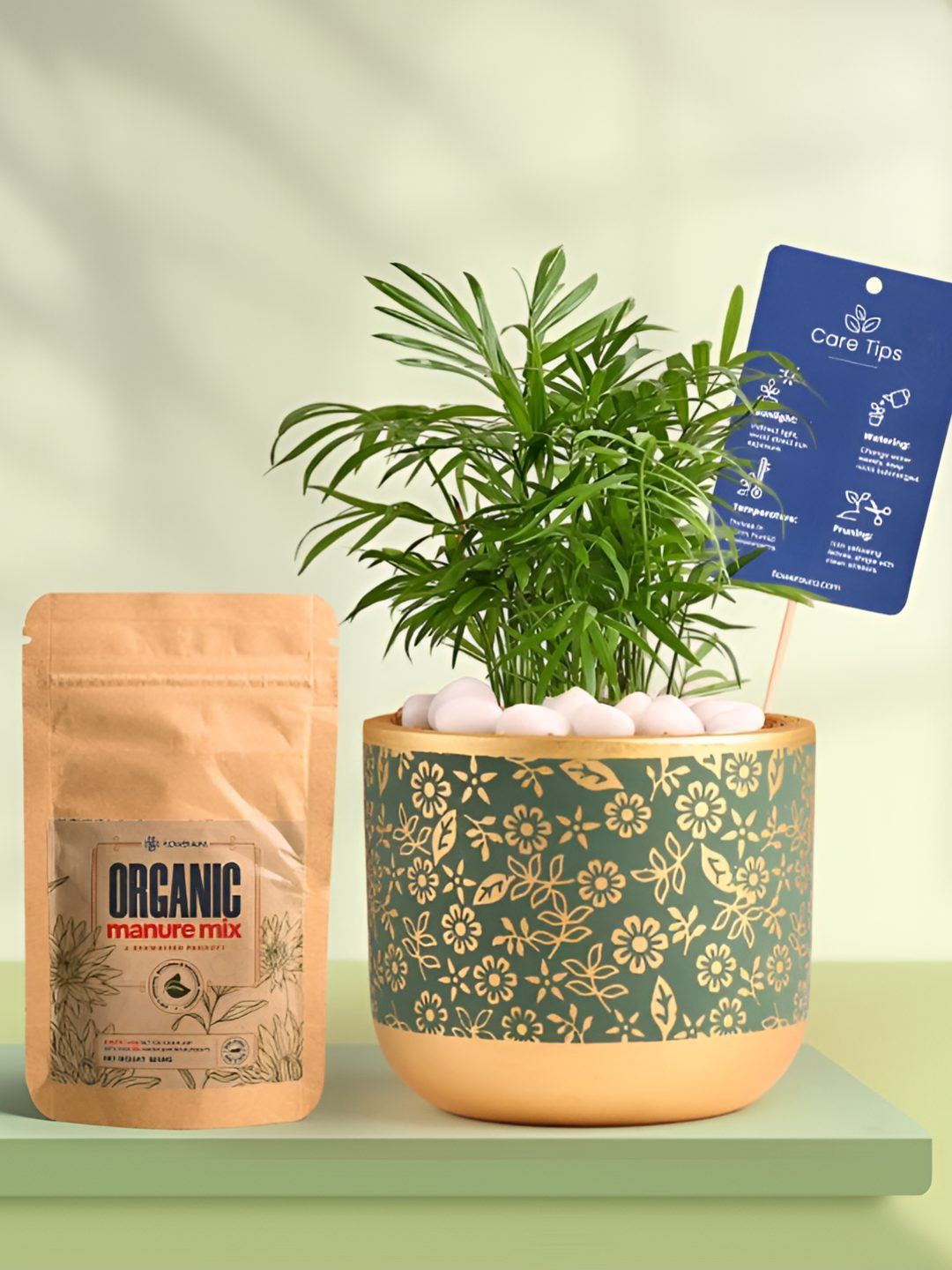 Floweraura Air Purifying Bamboo-Palm Indoor Live Plant With Printed Pot & Manure -15 cm