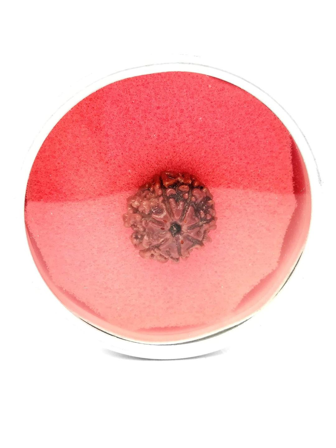 Apnisanskriti Unisex 7 Face Rudraksha Pendant