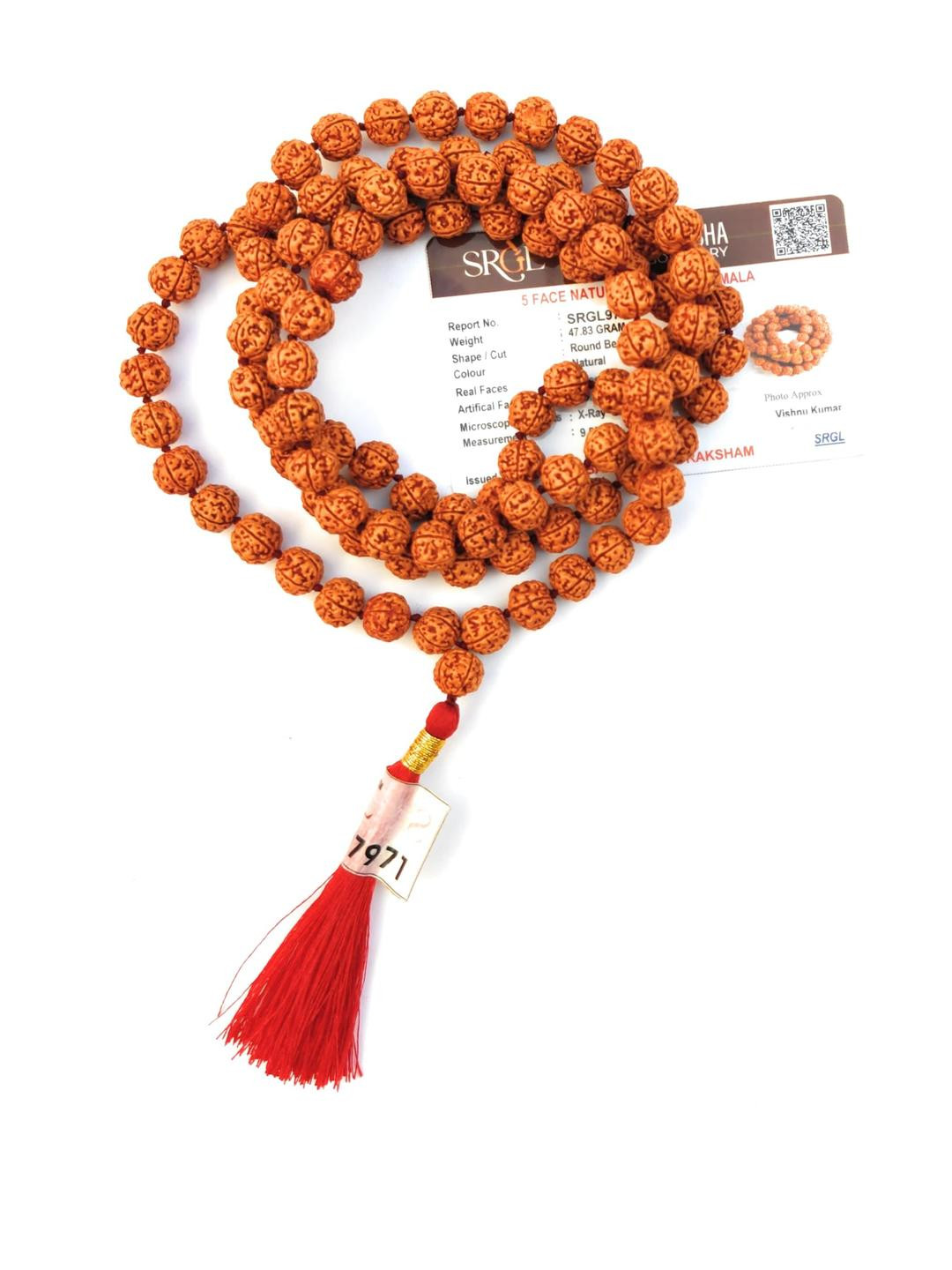 Apnisanskriti Unisex Nepali Rudraksha Chikna Pathri 10mm Mala