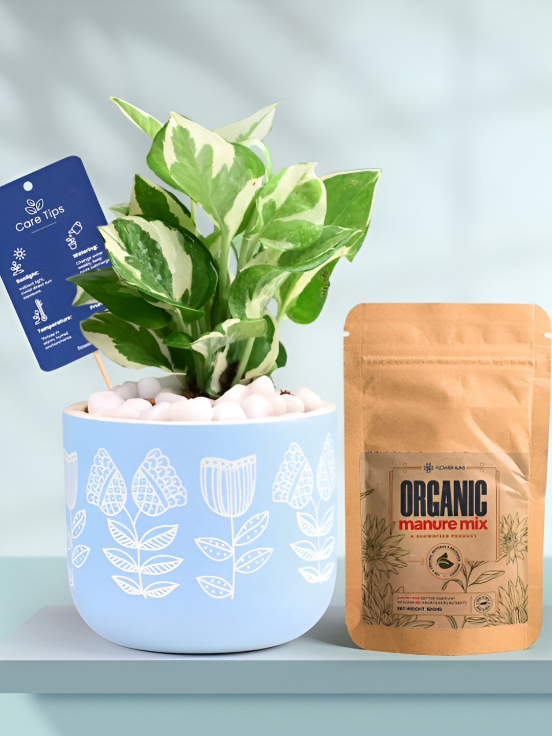 Floweraura Air Purifying Peace Lily Indoor Live Plant With Printed Pot & Manure -15 cm