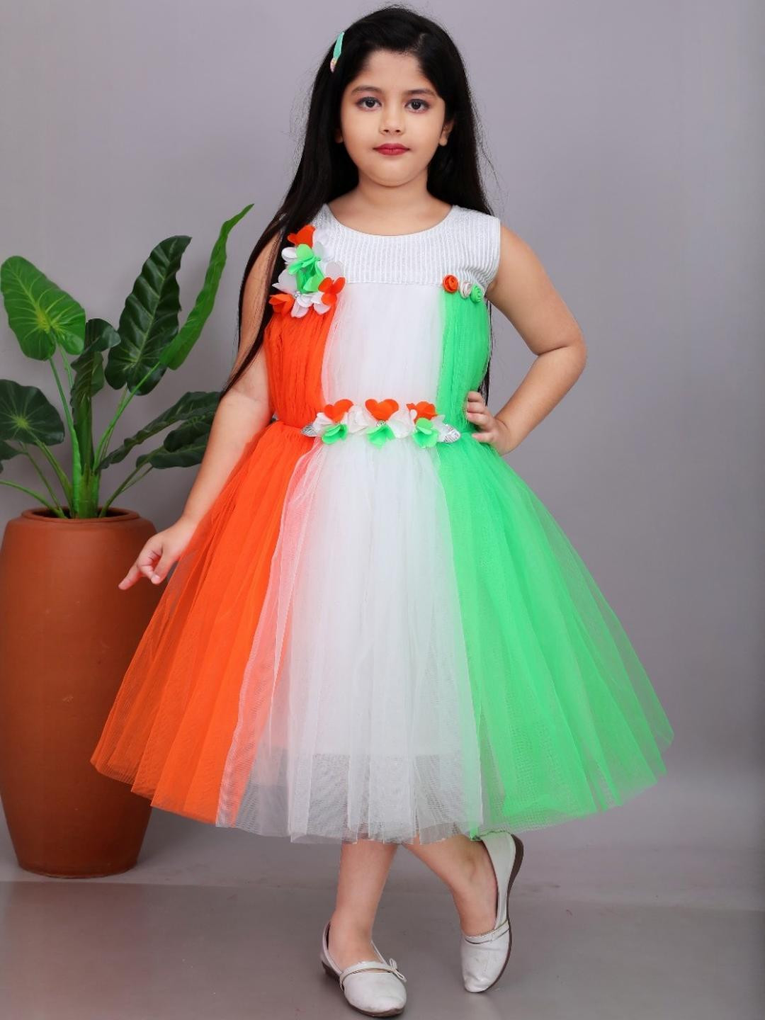 Jhilik Garments Colourblocked Net Fit & Flare Dress