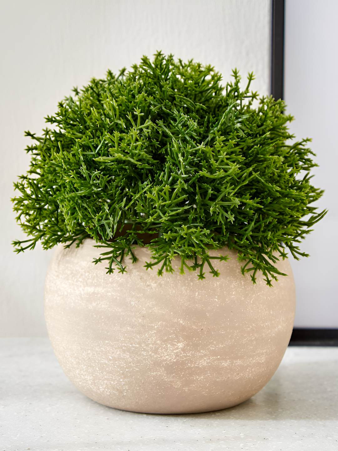 Home Centre Green Coral Cactus Artificial Plant With Pot