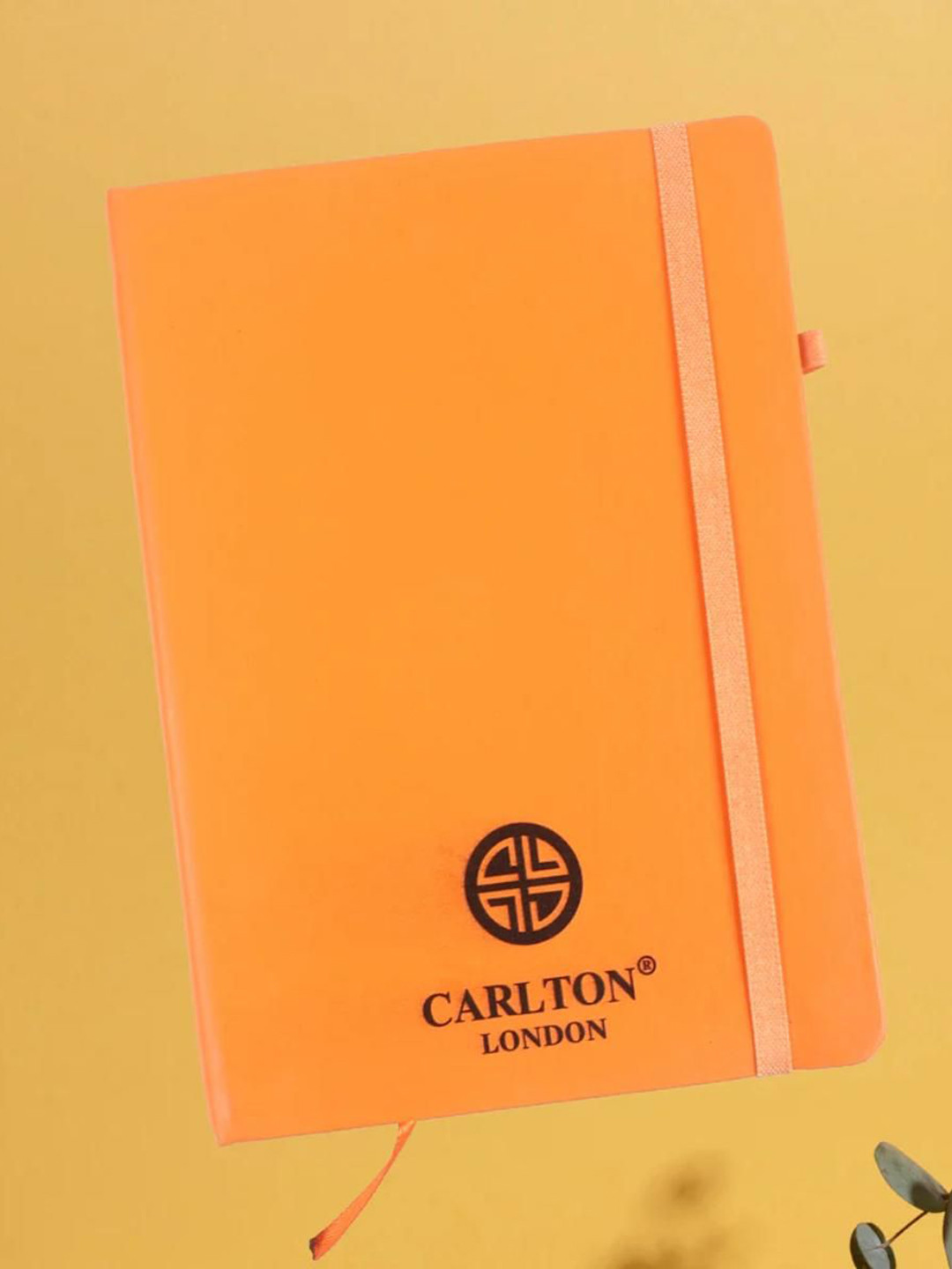 Carlton London Diary Stationery