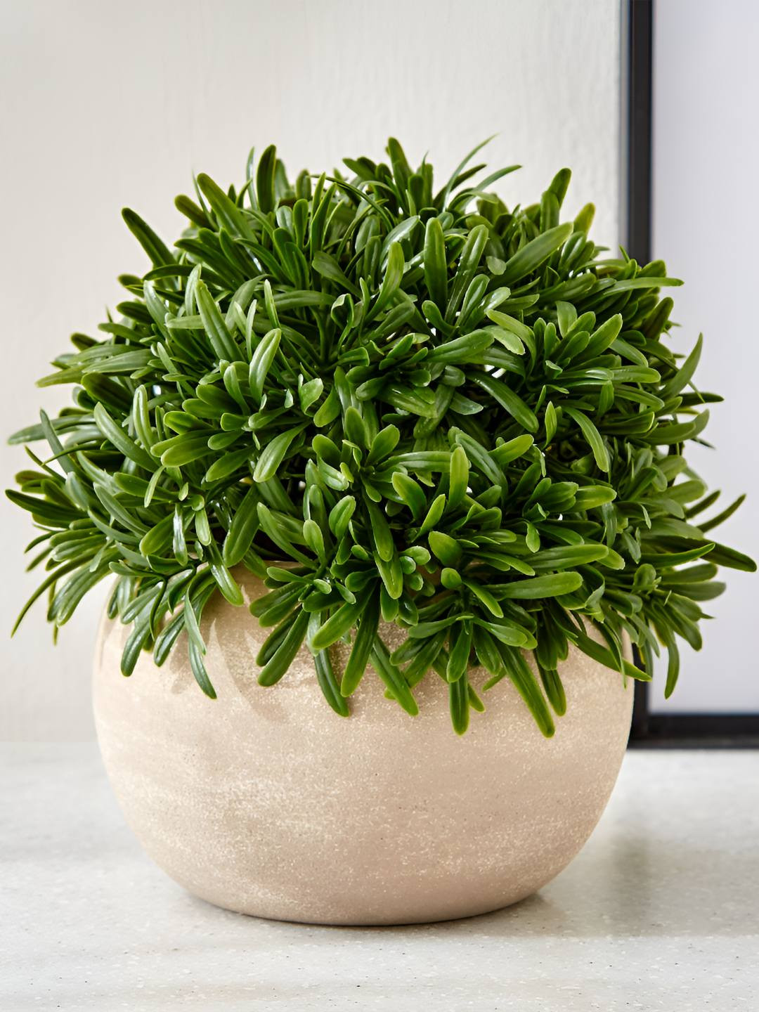Home Centre Green Rosemary Artificial Plant With Pot