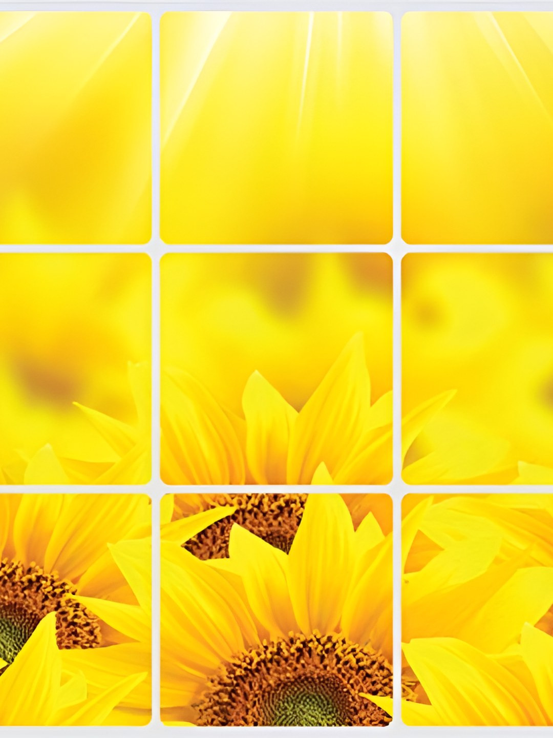 INDIAN ROYALS Yellow &Brown Sunflower Printed Self-Adhesive & Durable Wall Sticker