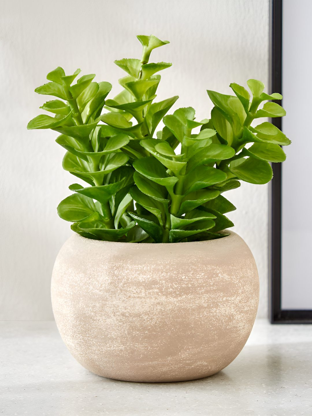 Home Centre Green Gloria Bond Artificial Plant With Pot