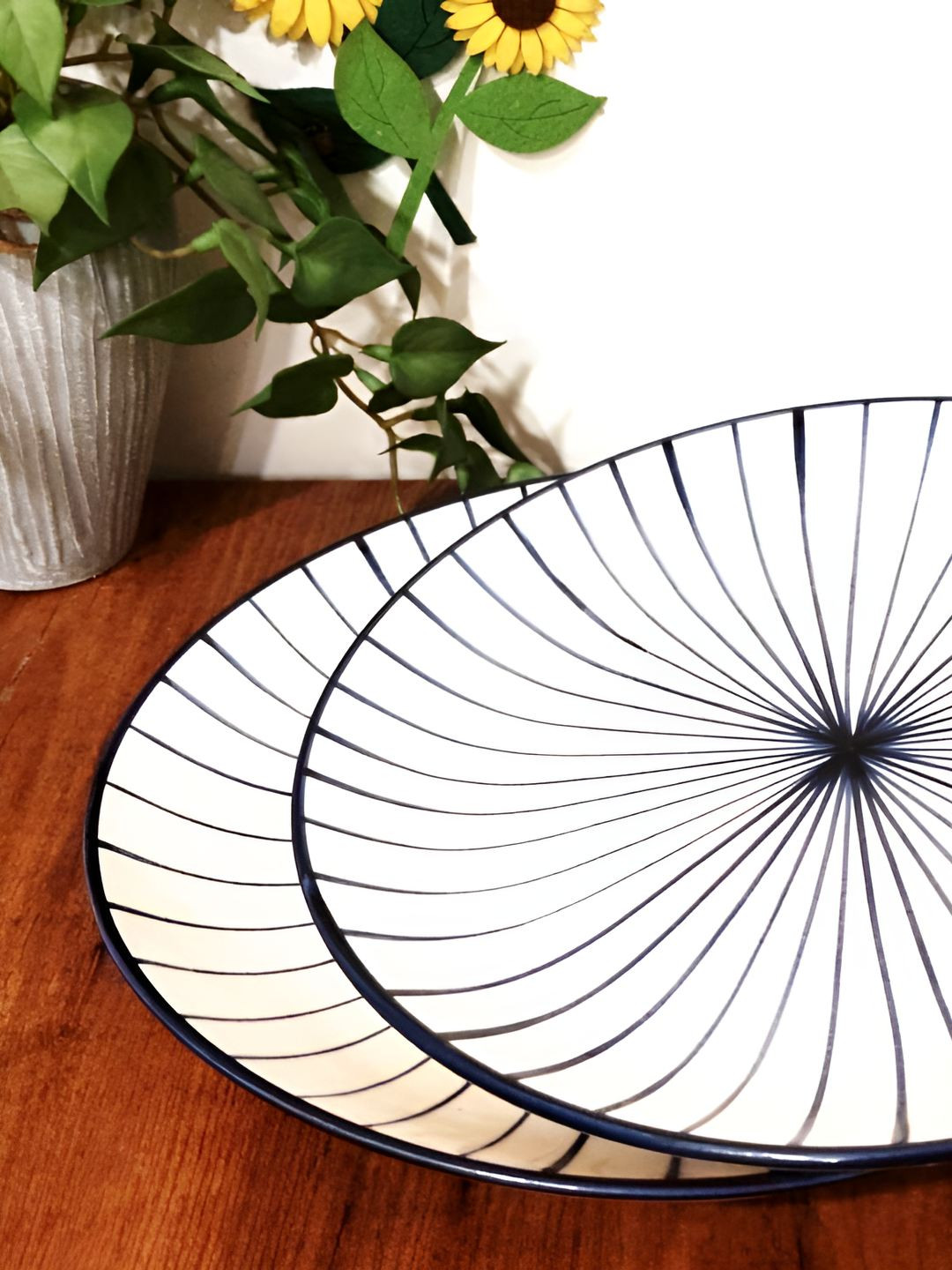 Calcine Industries Blue 2025 2 Pieces Ceramic Dishwasher and Microwave Safe Plates