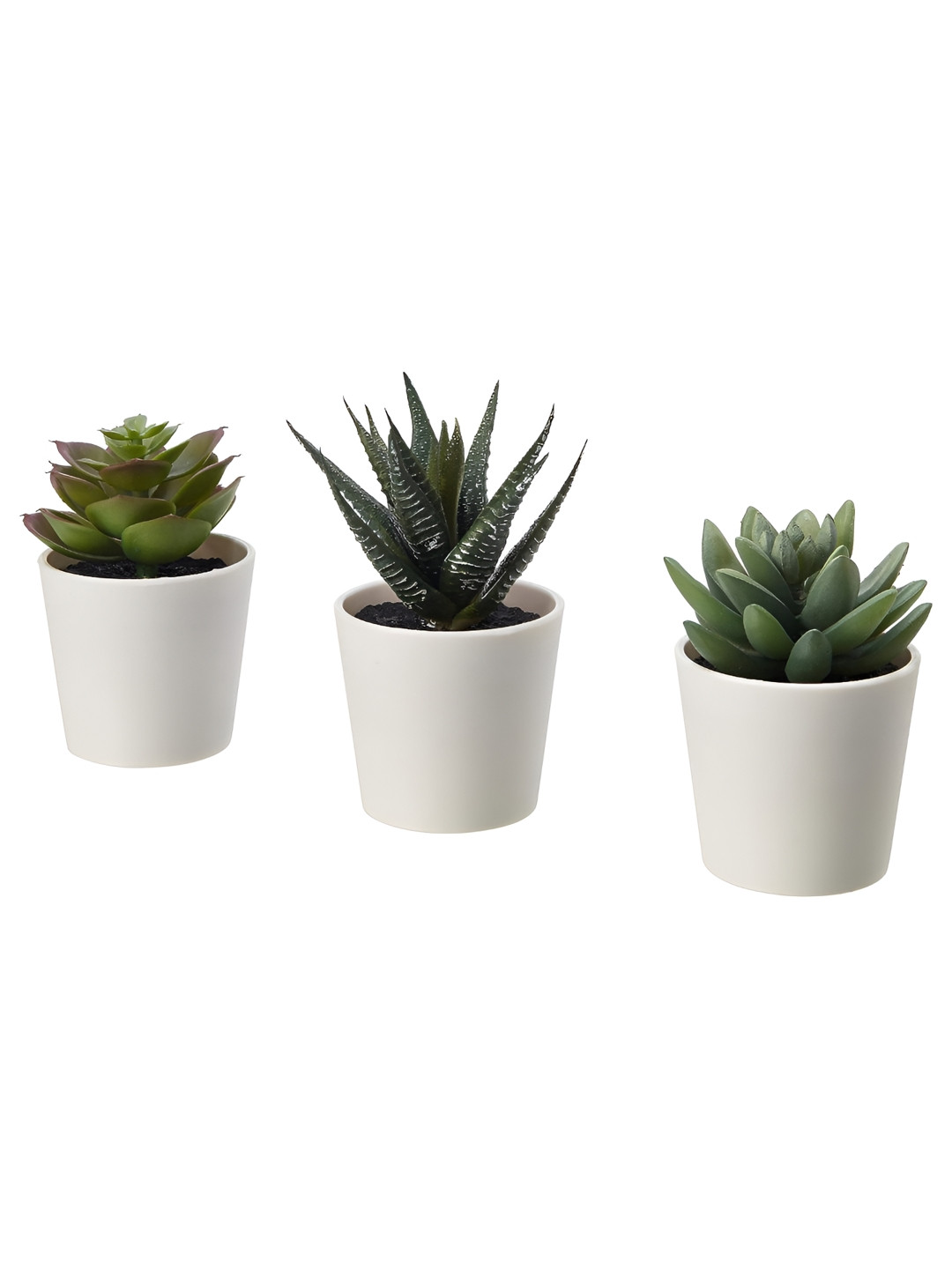 Chitra Artworks Green & White 3 Pieces Succulent Artificial Plant With Pot