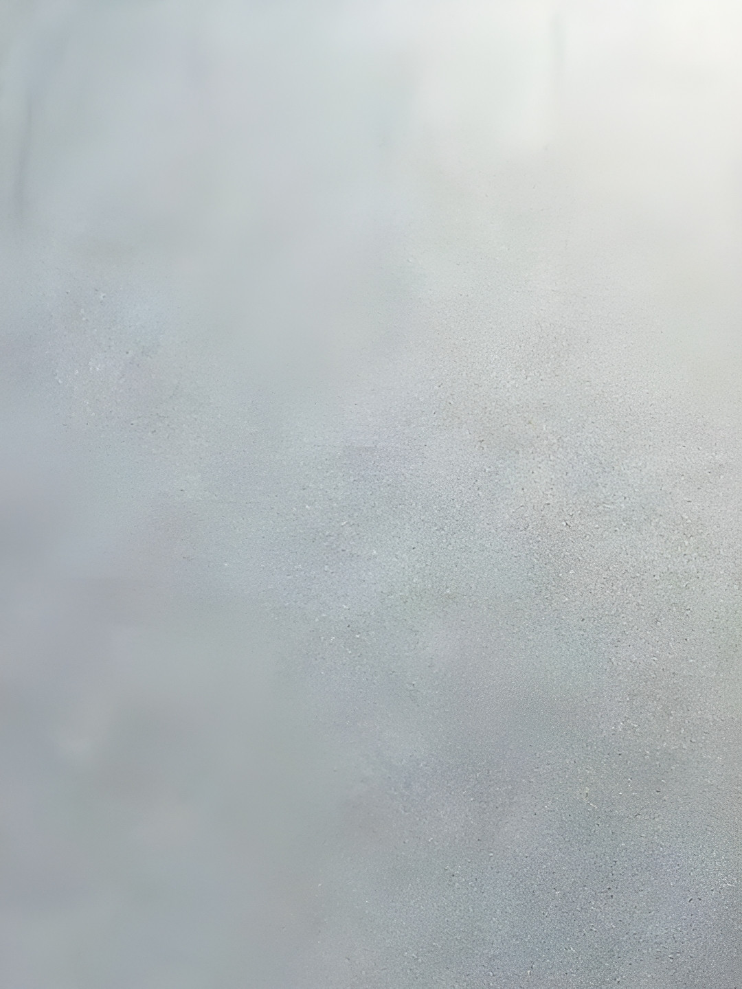 INDIAN ROYALS Grey Matte Self-Adhesive & Durable Window Sticker