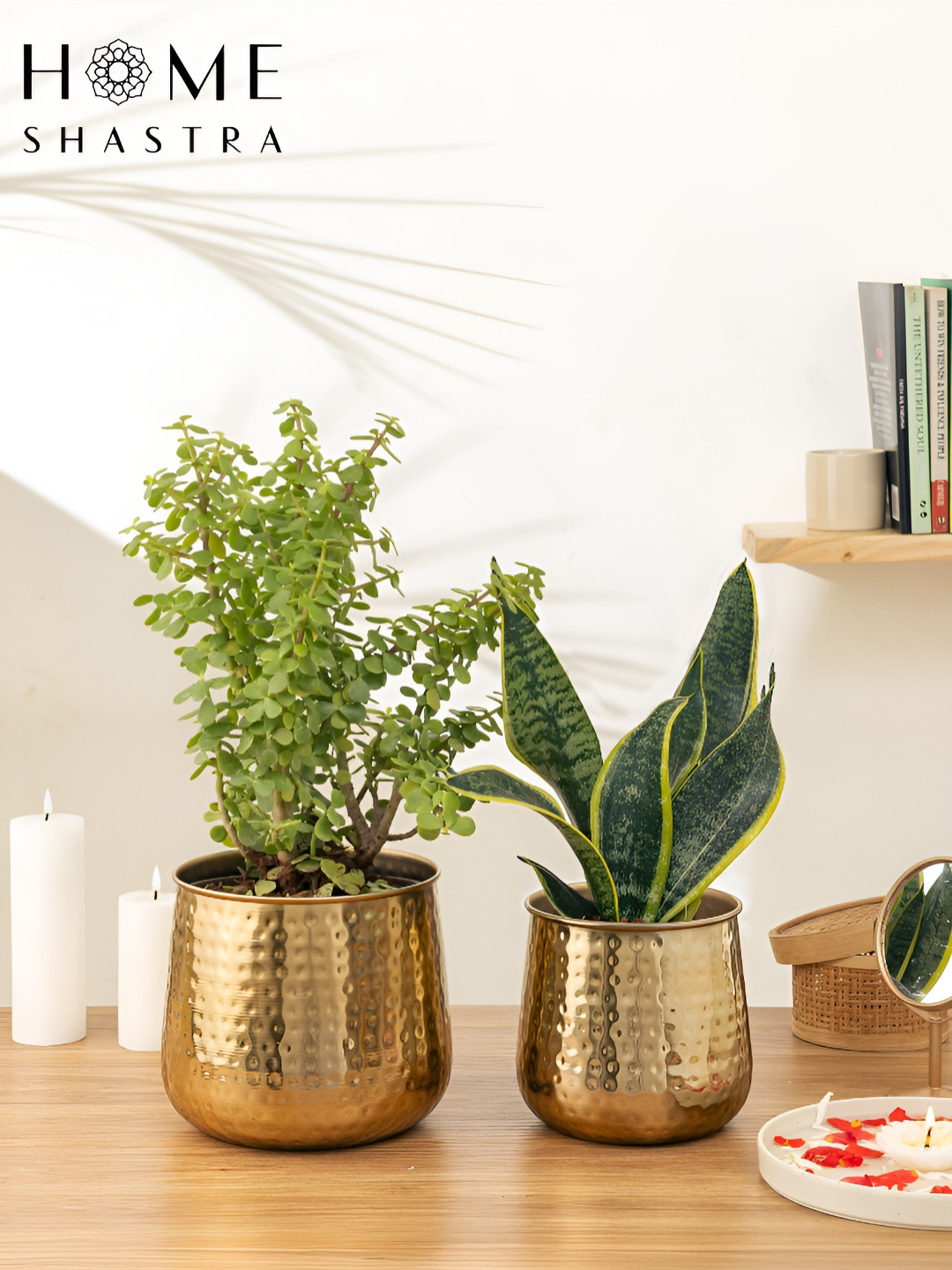 HomeShastra Auric 2-Pcs Brown Hammered  Planters