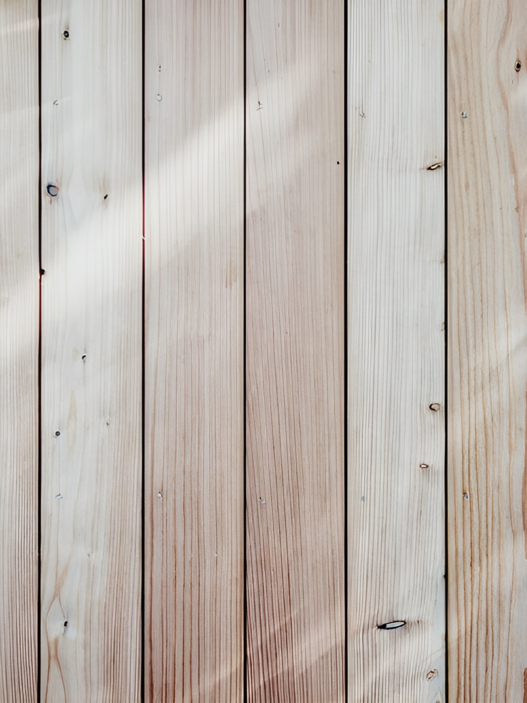 INDIAN ROYALS Cream Film Printed Self-Adhesive & Durable Wall Sticker