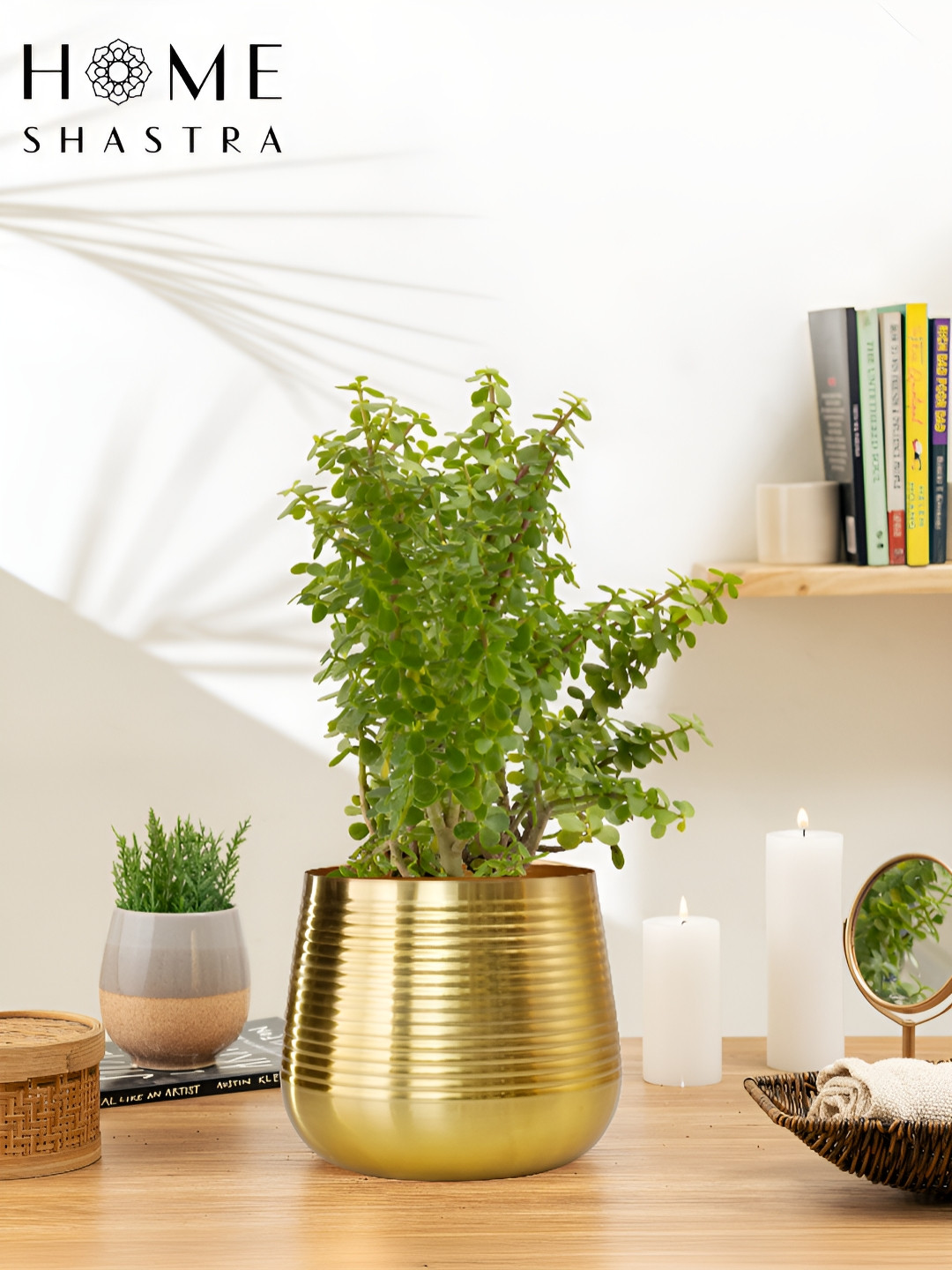 HomeShastra Ved Yellow Glossy Big Planter