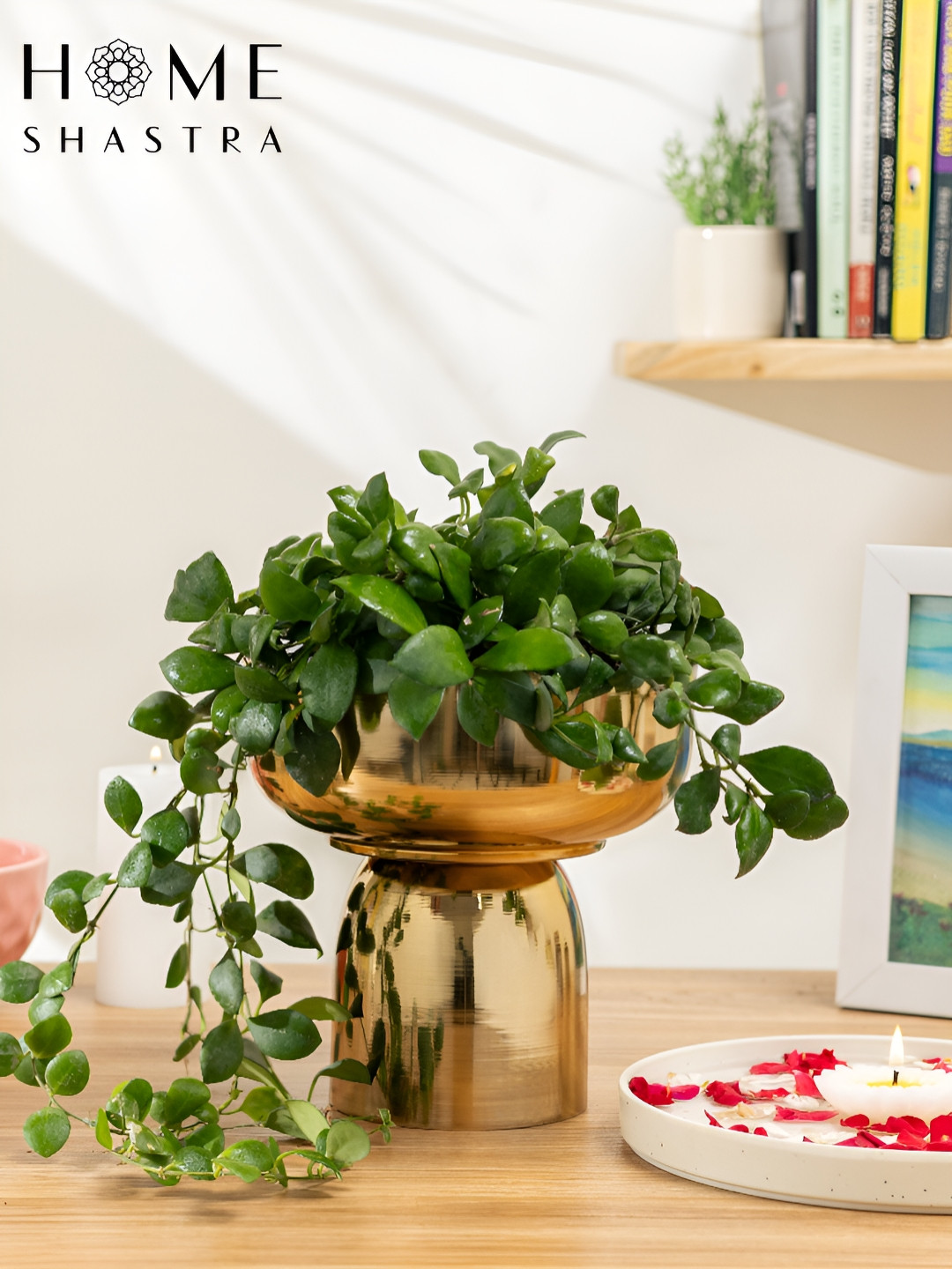 HomeShastra Fern Yellow Hand Crafted Planters