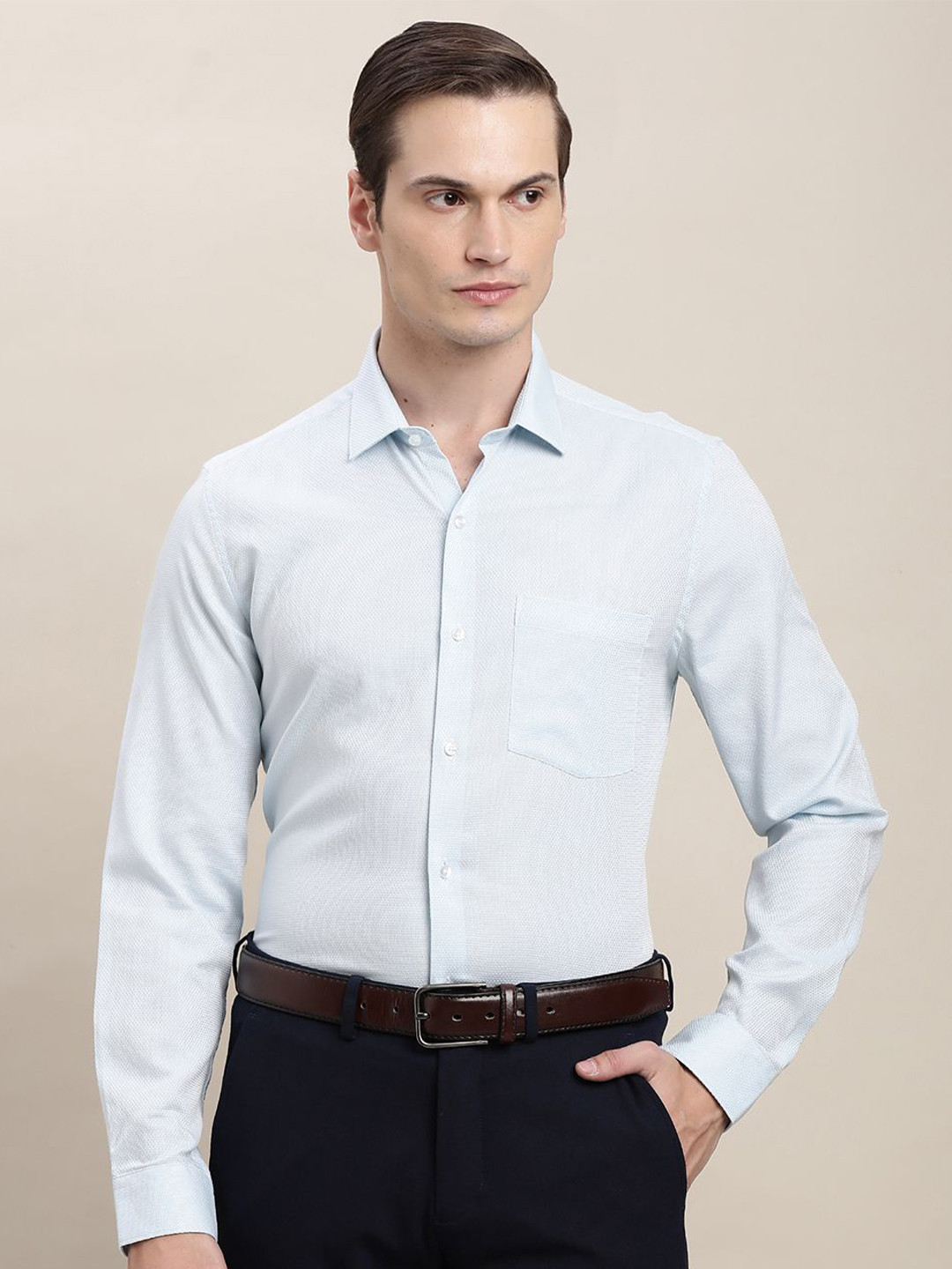 Turtle Classic Slim Fit Pinstripes Formal Shirt
