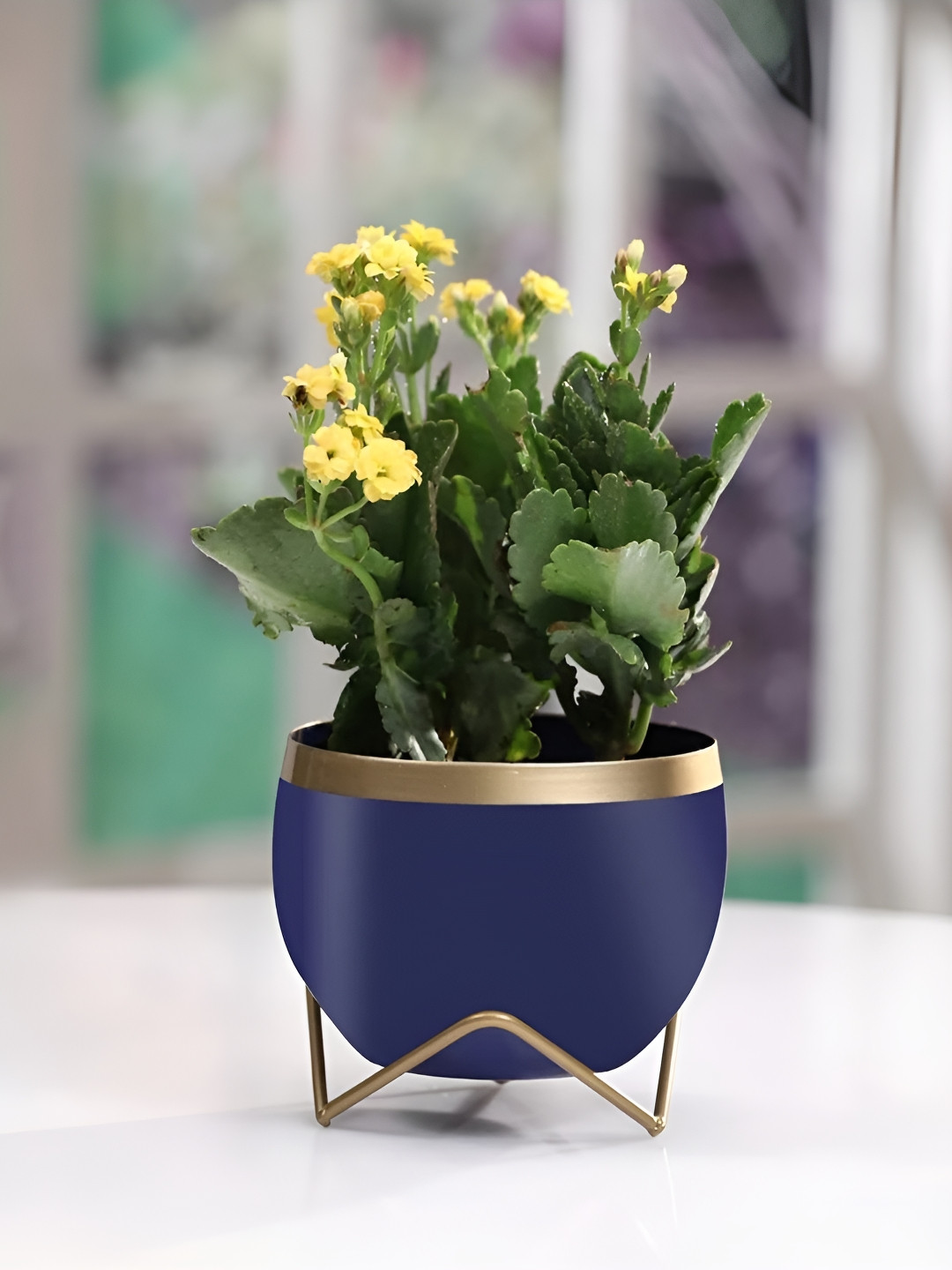 VoiDrop Blue Planters WithStand