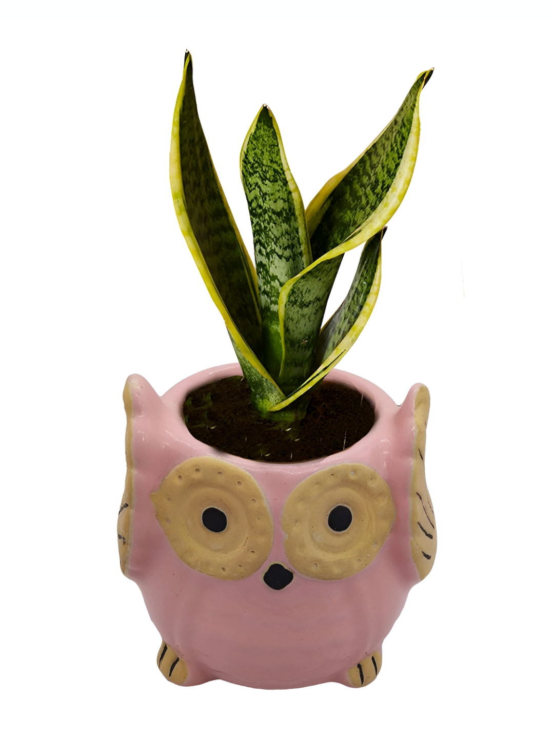 INDIA MEETS INDIA Pink & Yellow Patterned Ceramic Double Glazed Owl Planter