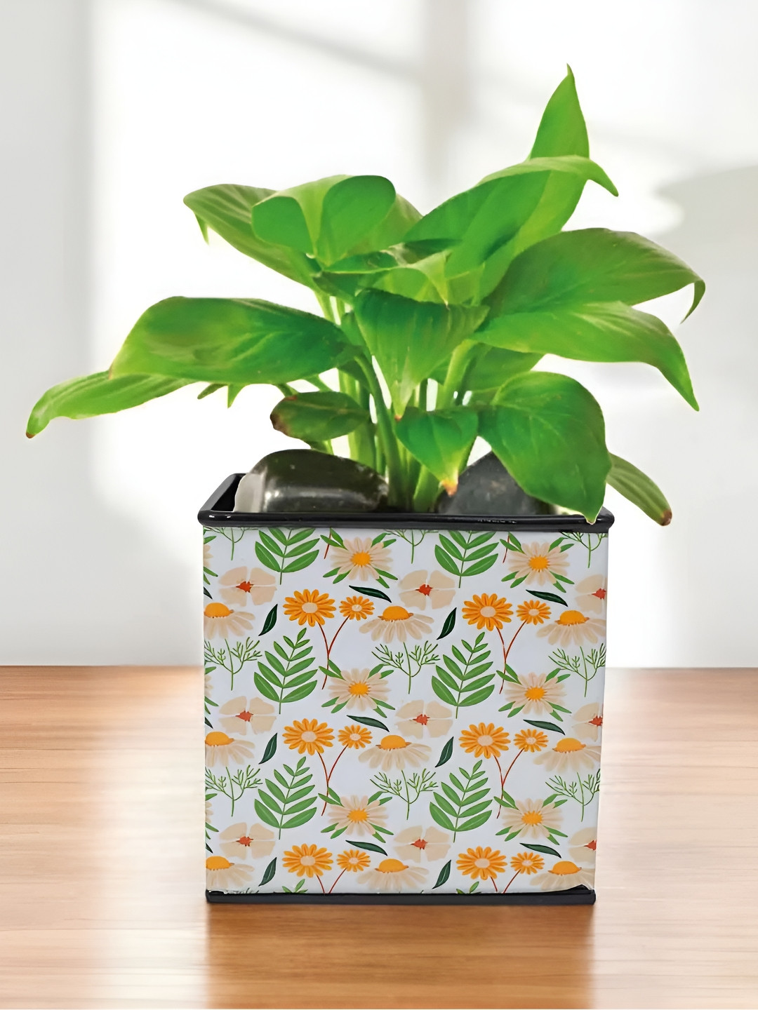 VoiDrop White & Orange-Colored Floral Printed Square-Shaped Planters