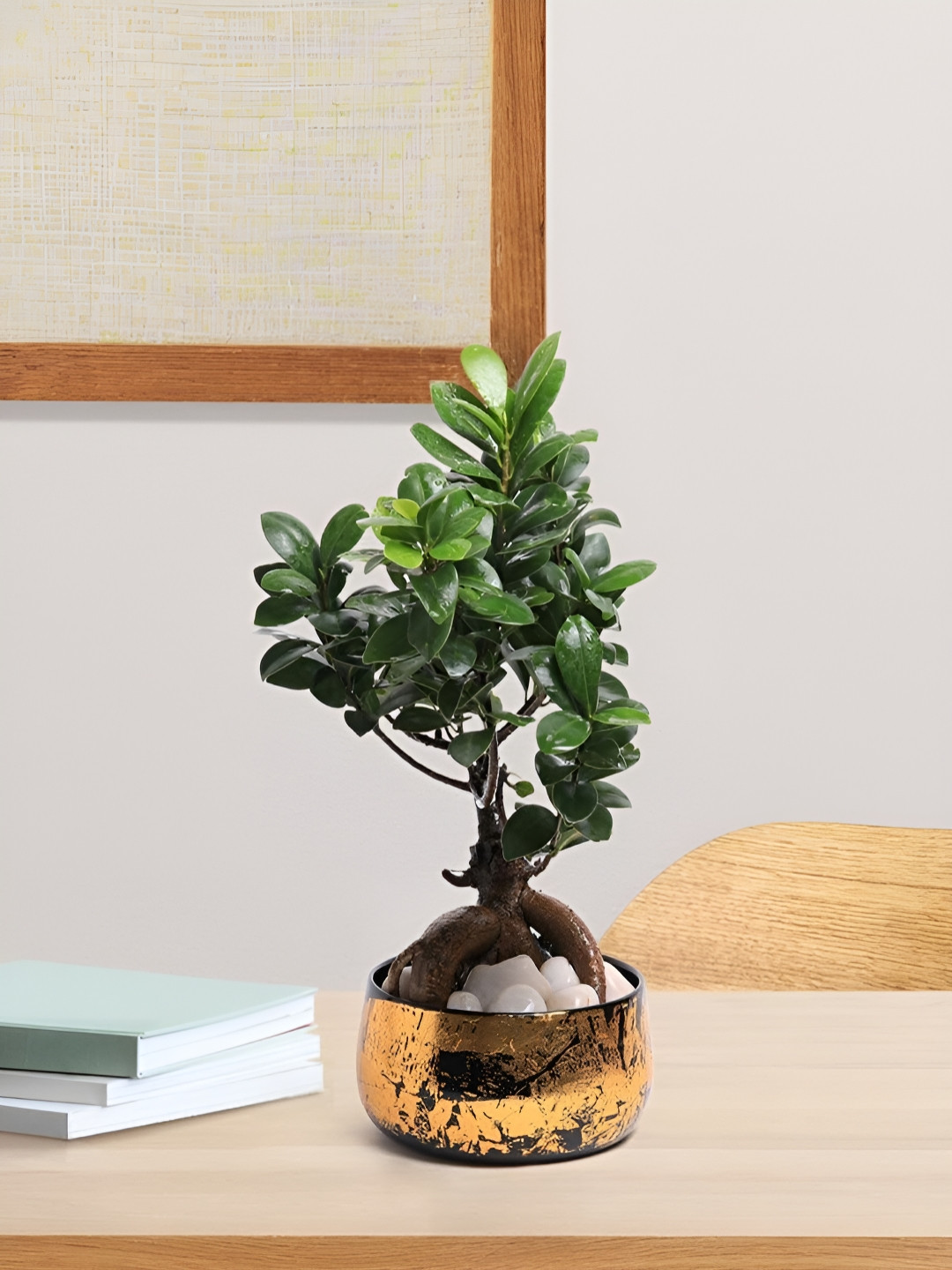 VoiDrop Yellow & Black Printed Antique Handi Flower Planters