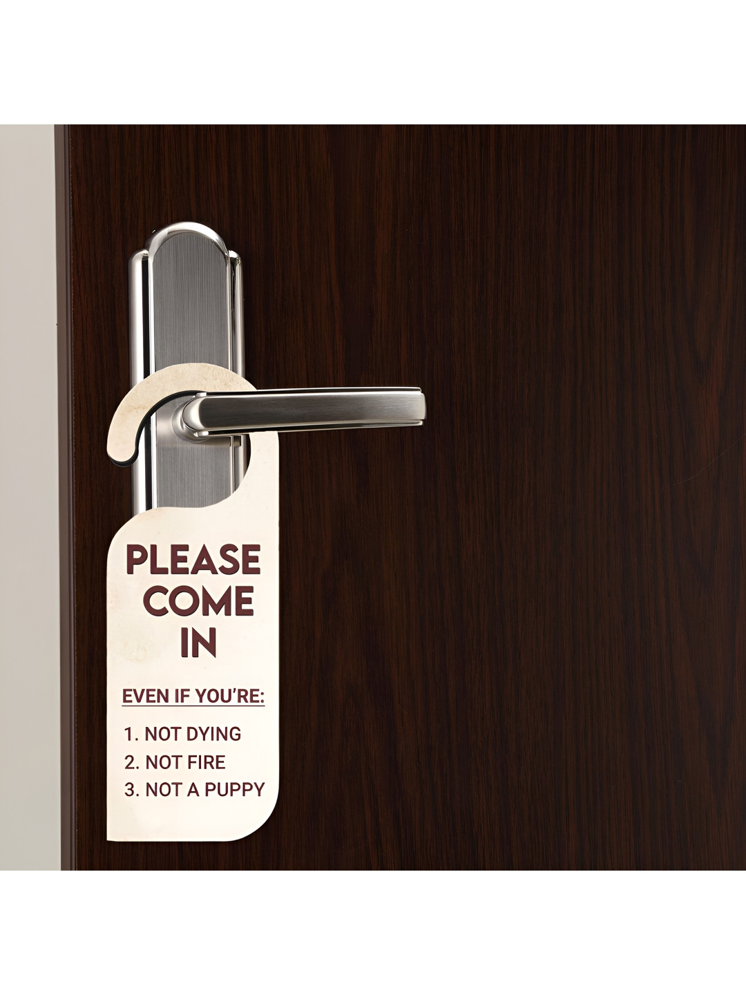 THE QUIRKY HOME Please come in Door Hanger