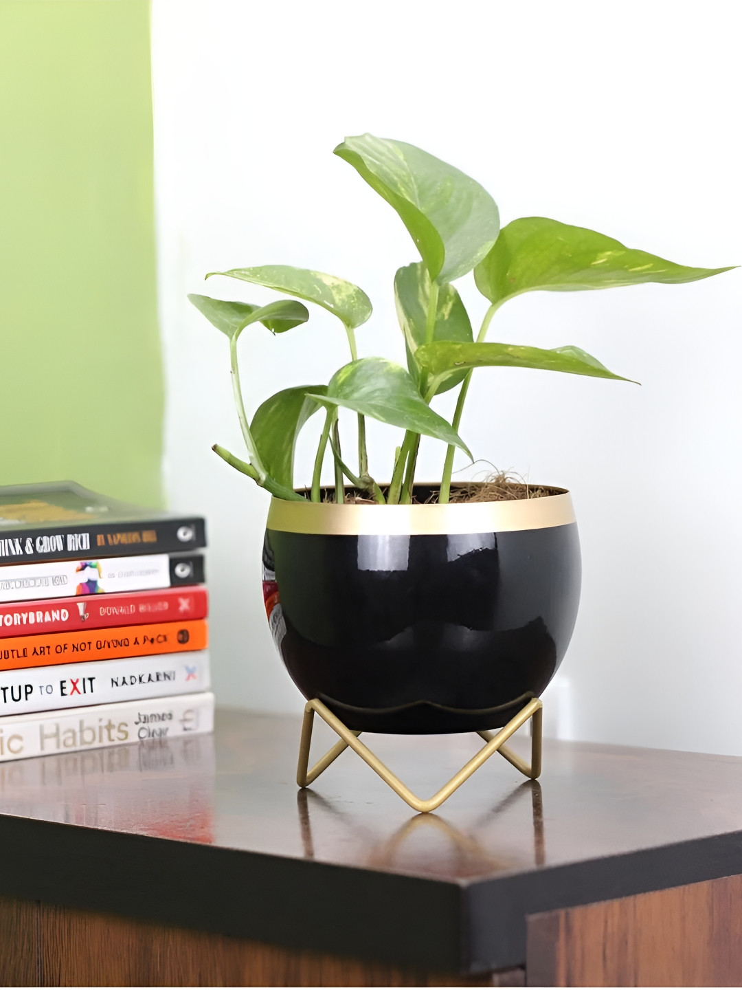 VoiDrop Black Glossy Round Small Table Planter With Pot Drainage Hole & Stand