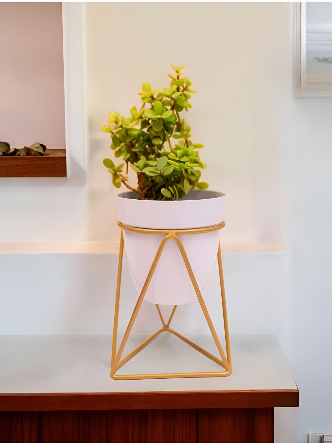 VoiDrop White & Gold Table Planters WithStand