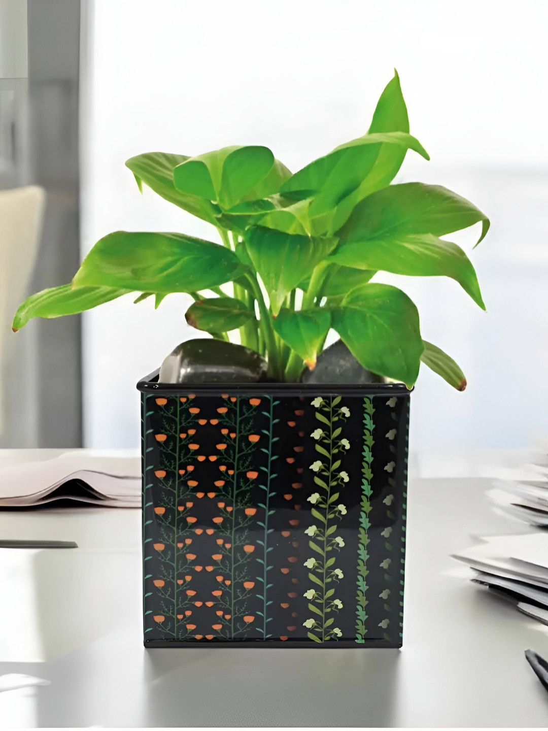VoiDrop Black Floral Printed Desk Flower Planter