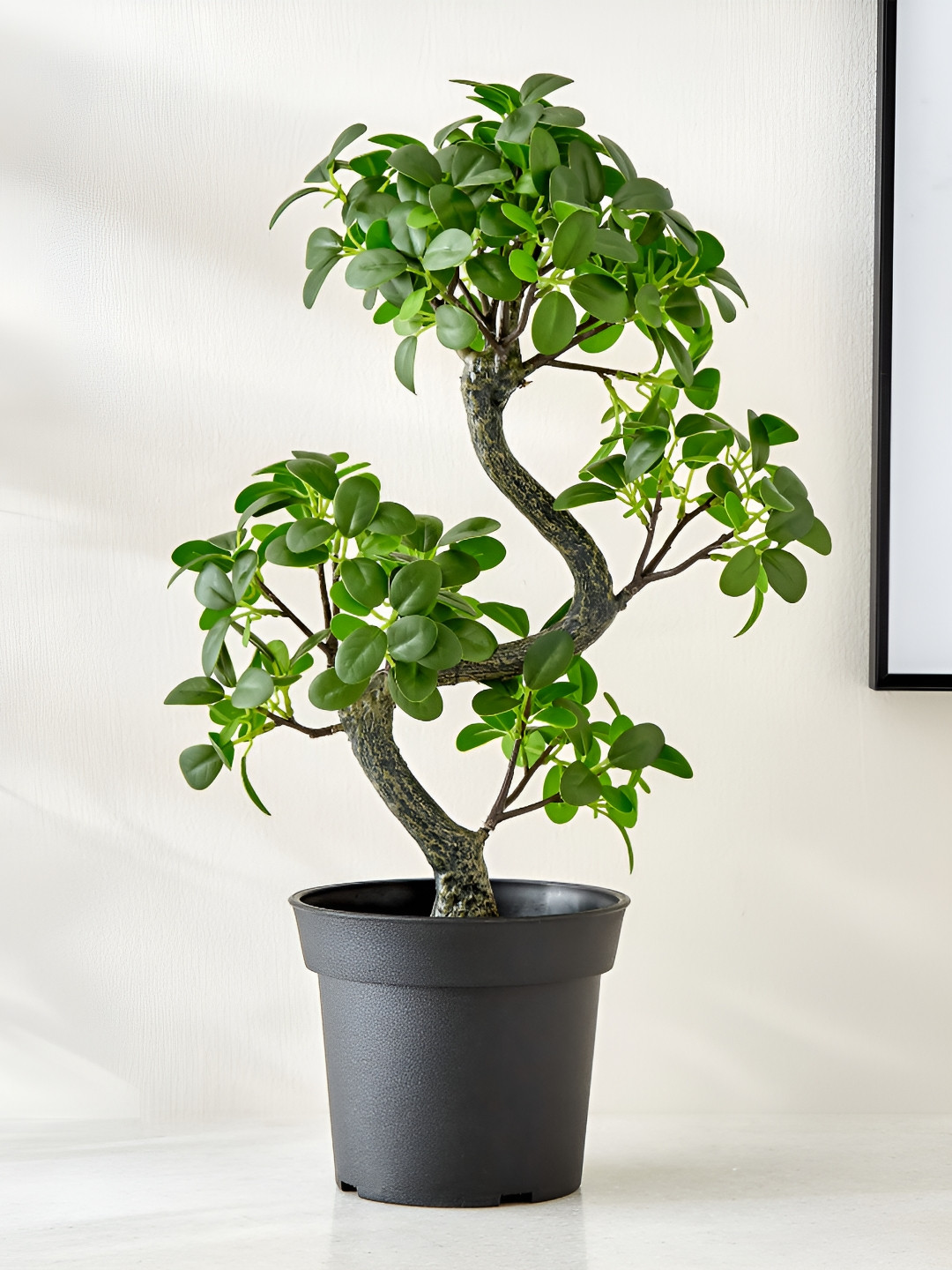Home Centre Green Artificial Ficus Plant With Pot