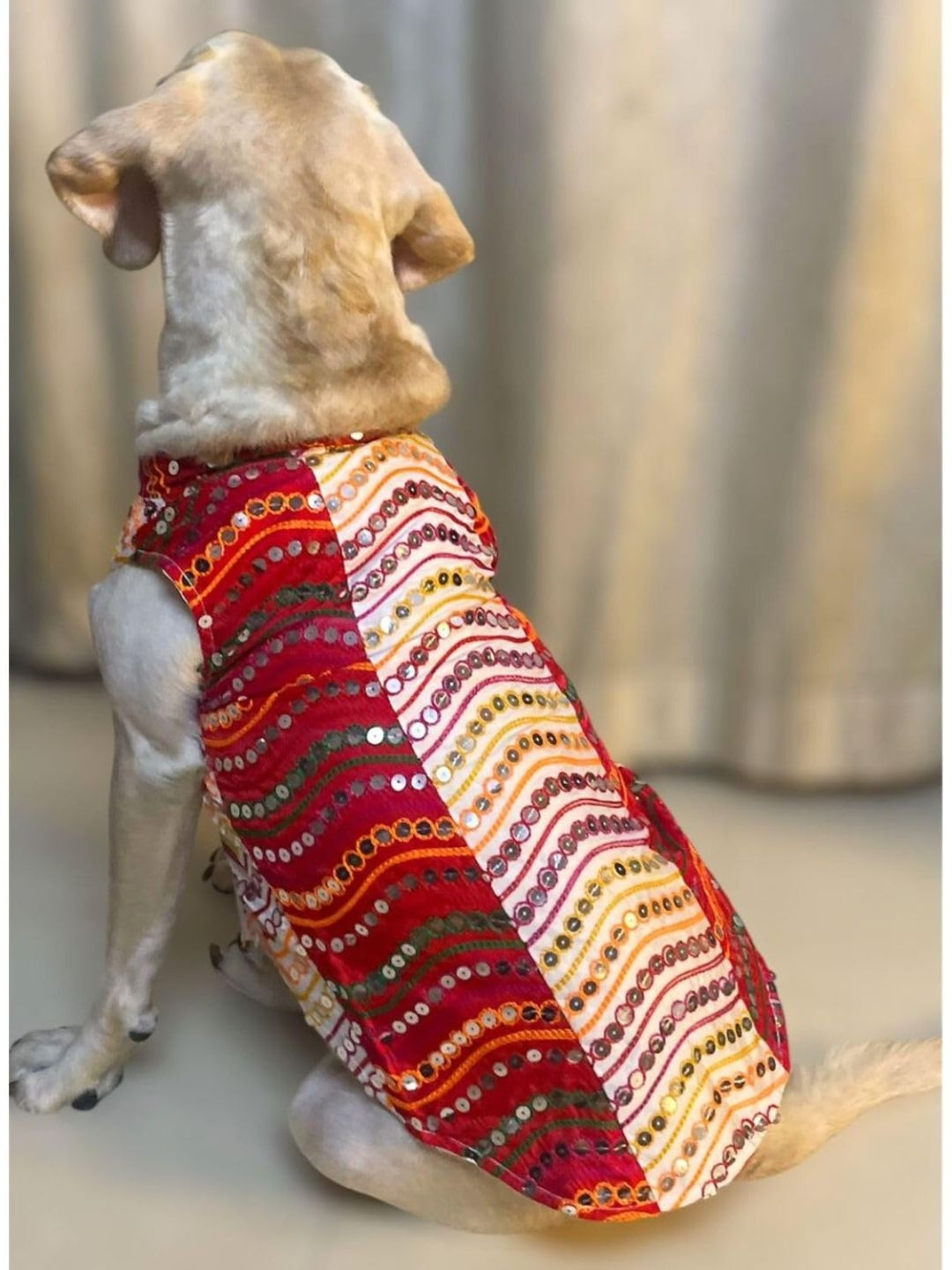 Lulala Lightweight Unisex Ethnic Motifs Embellished Indian Dog Dress