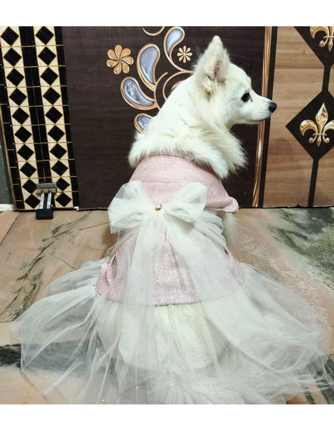 Lulala Self-Design Dog Dresses
