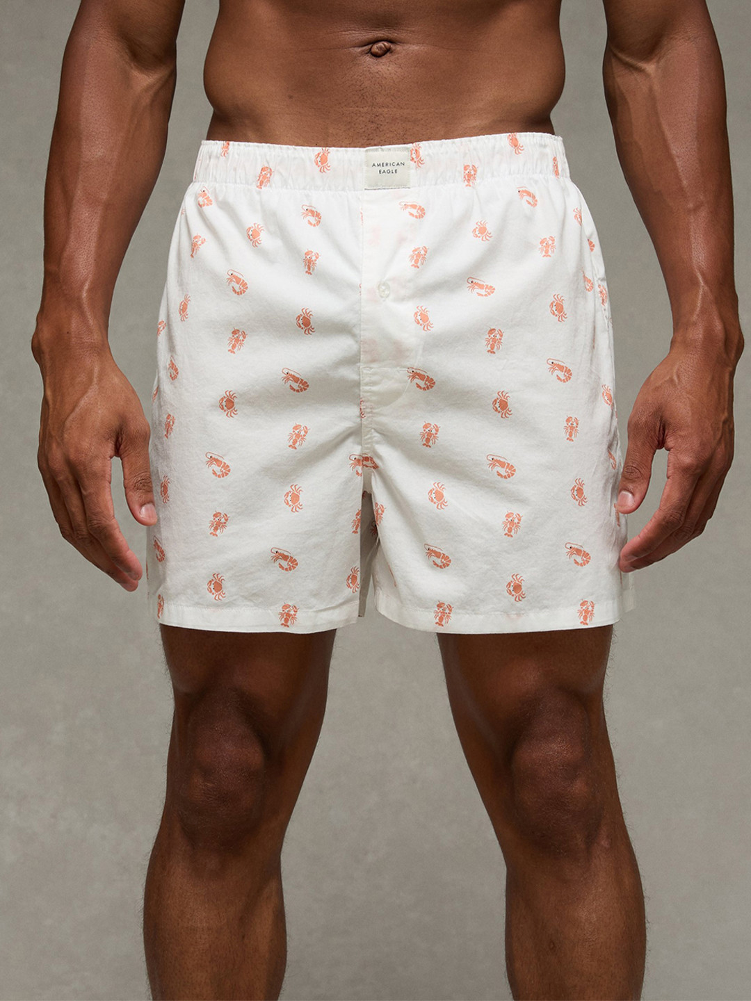 AMERICAN EAGLE OUTFITTERS Printed Mid-Rise Stretchable Boxer WEC0230116100