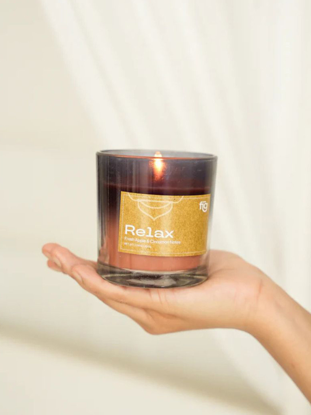 FIG Relax Scented 1 Wick Apple & Cinnamon Solid Geometric Regular Jar Candles