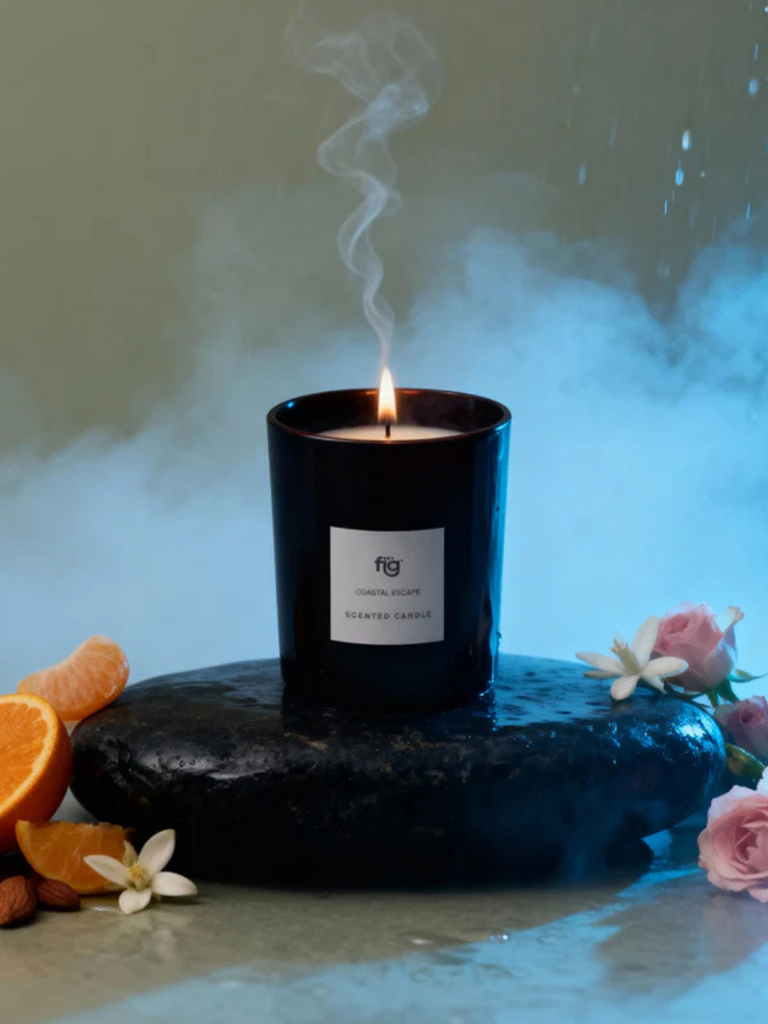 Fig Coastal Escape Scented Candle