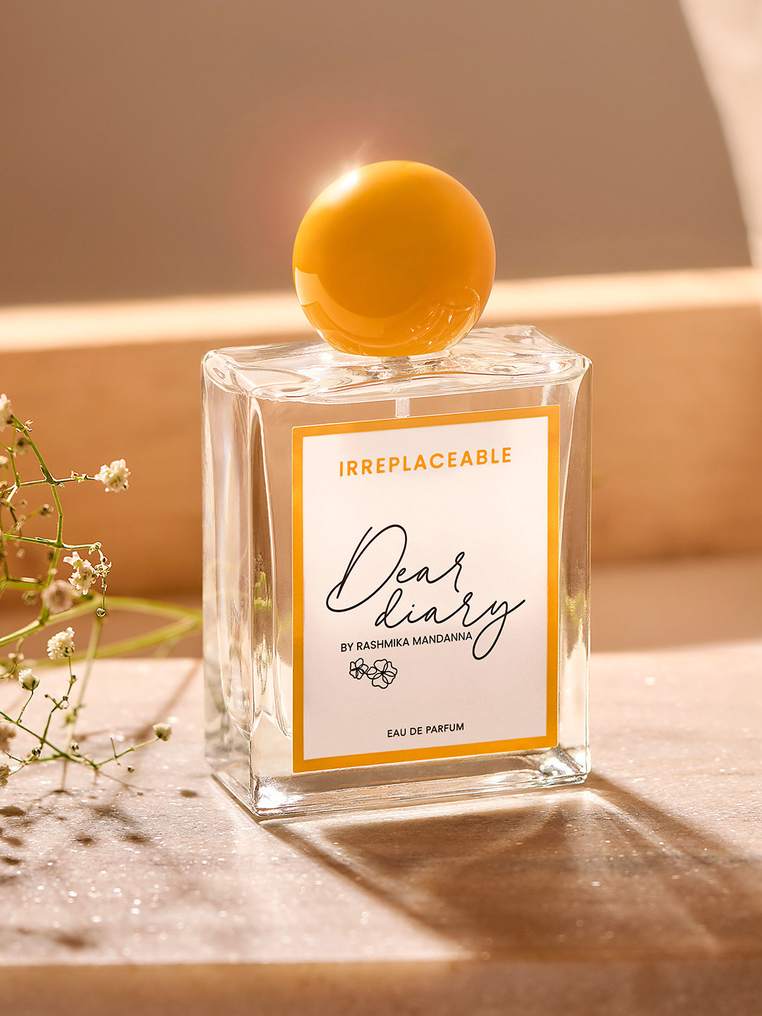 Dear Diary Women Irreplaceable Long Lasting Eau De Parfum - 100 ml