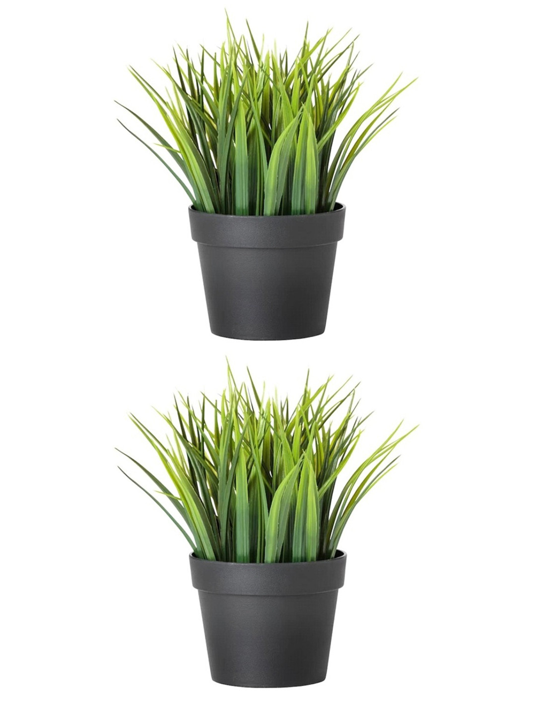 paperi Green & Black 2 Pieces Grass Artificial Plants With Pot