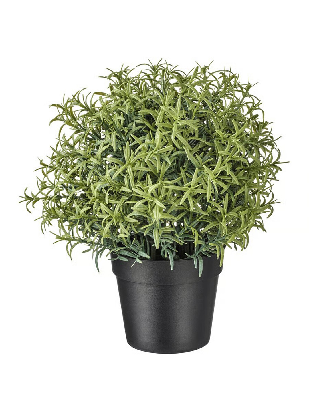paperi Green & Black Rosmarinus Artificial Plant With Pot