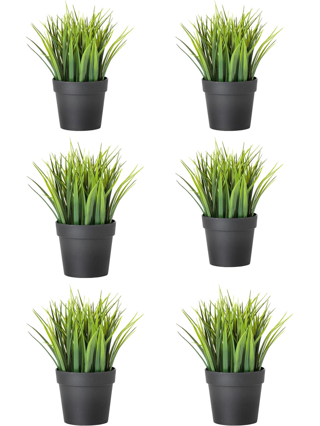 paperi Green & Black 6 Pieces Grass Artificial Plants With Pot