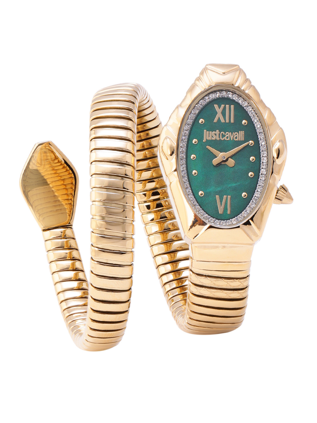 Just Cavalli Women Serpentine Strap Analogue Watch - JC1L357M0035