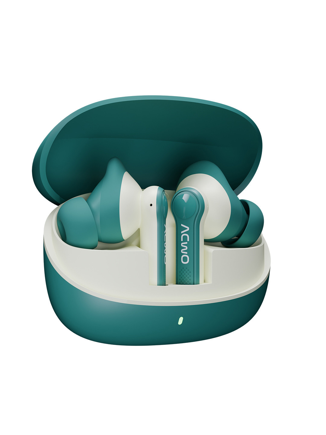 ACwO DwOTS 313 True Wireless Earbuds