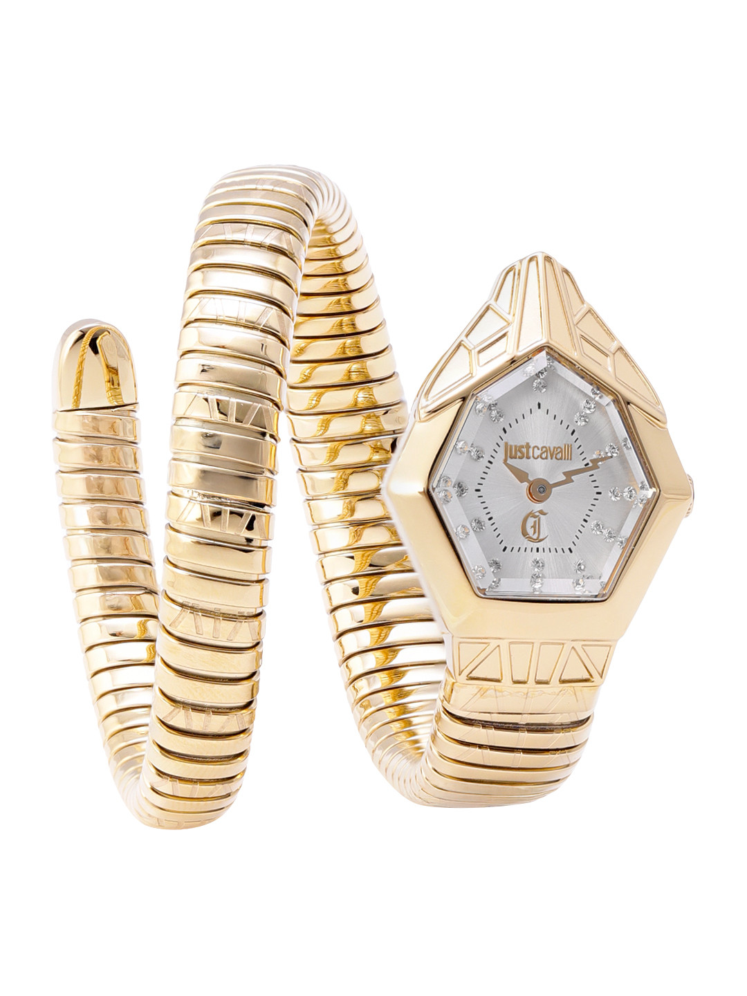 Just Cavalli Women Serpentine Strap Analogue Watch - JC1L358M0035