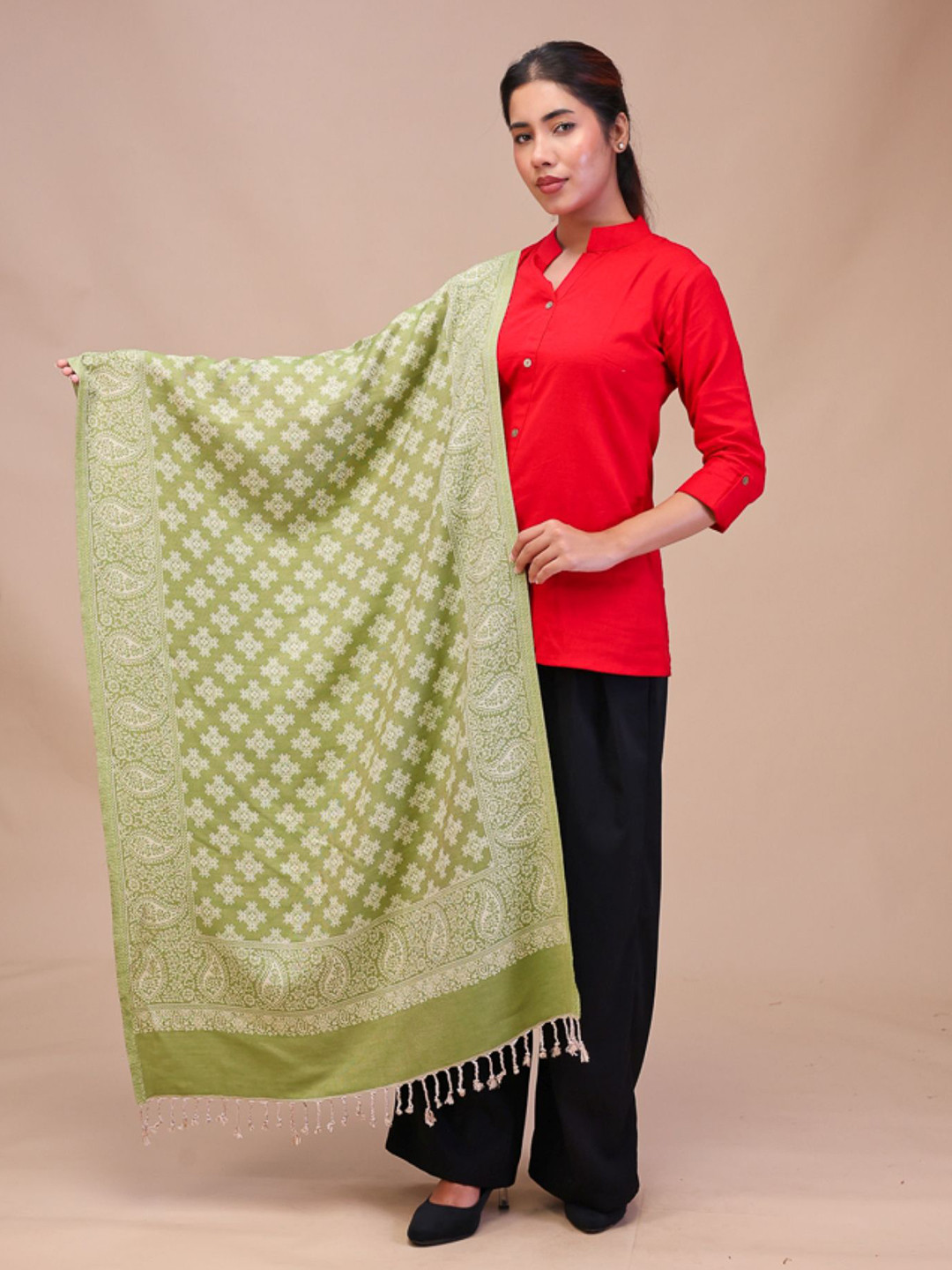 Moda Rapido Women Ethnic Motifs Woven Design Tasselled Scarf