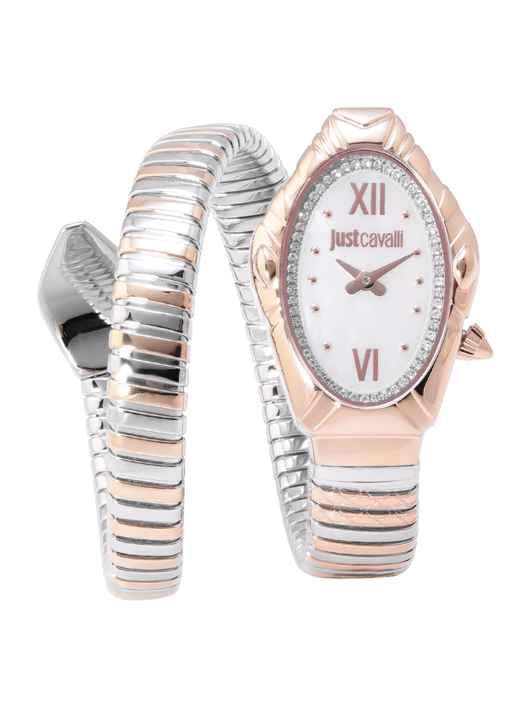Just Cavalli Women Serpentine Strap Analogue Watch - JC1L357M0065